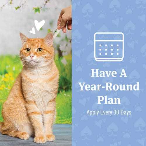 Alternative view of PetArmor Plus Flea and Tick Treatment for Cats