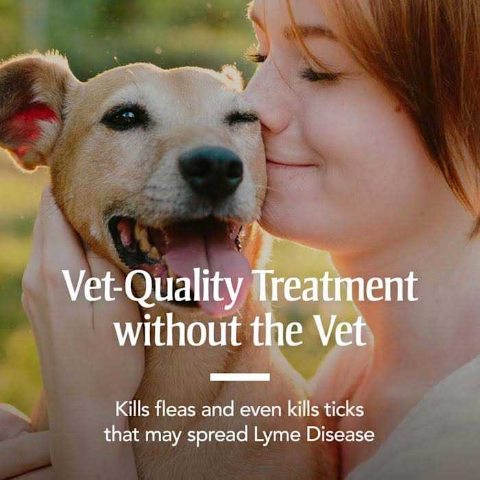 Alternative view of PetArmor Flea & Tick Collar for Dogs