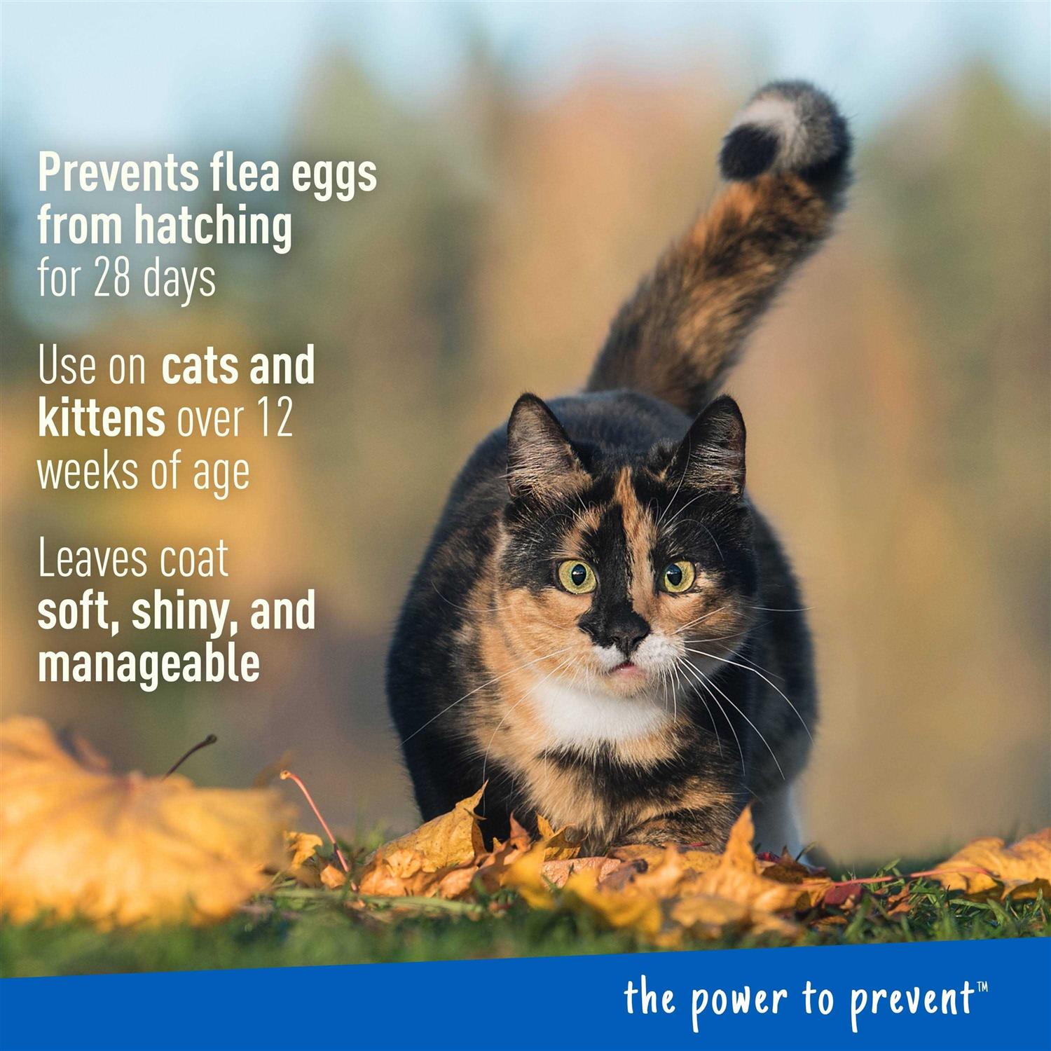 Alternative view of Adams Plus Flea & Tick Foaming Shampoo & Wash for Cats & Kittens