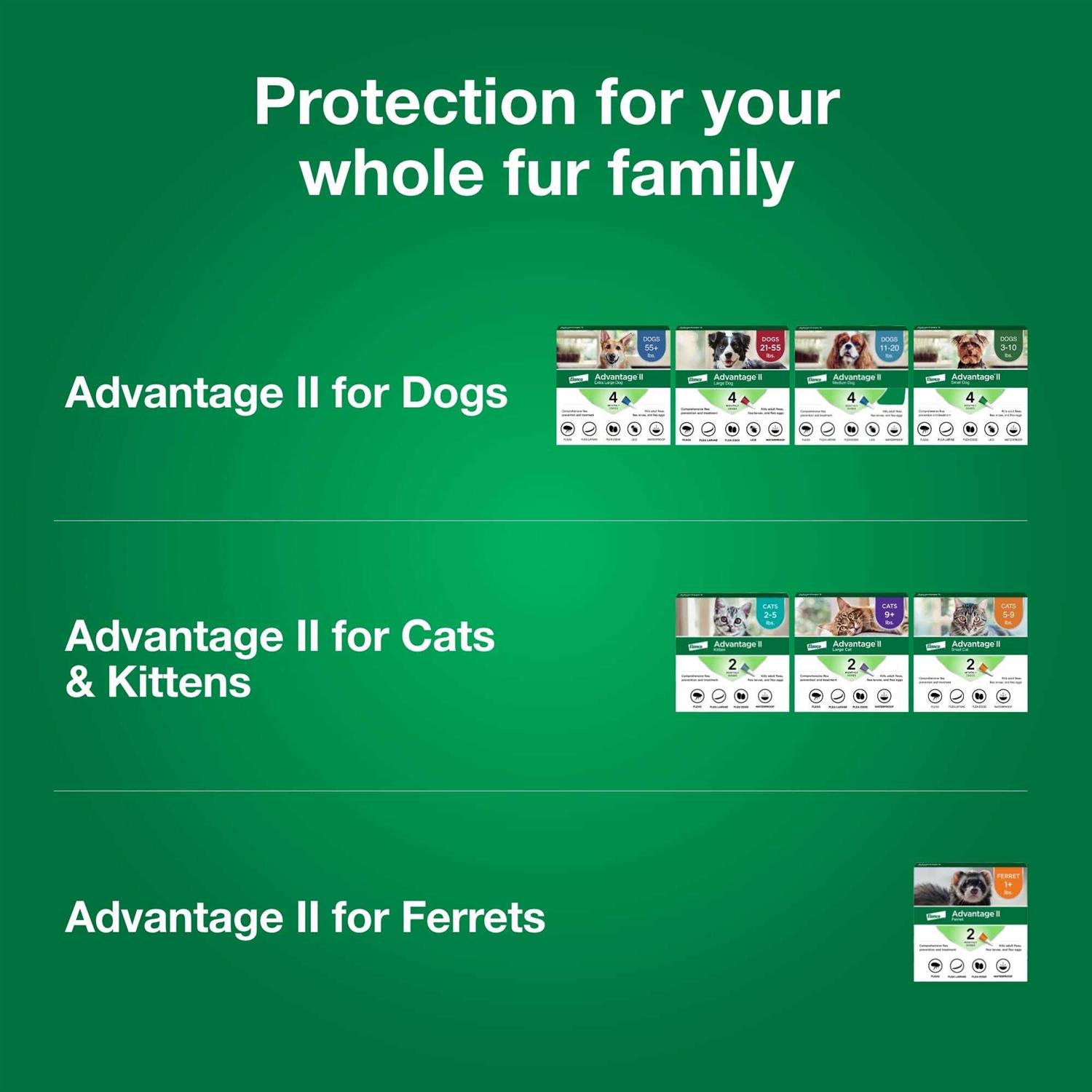 Alternative view of Advantage II for Dogs 3