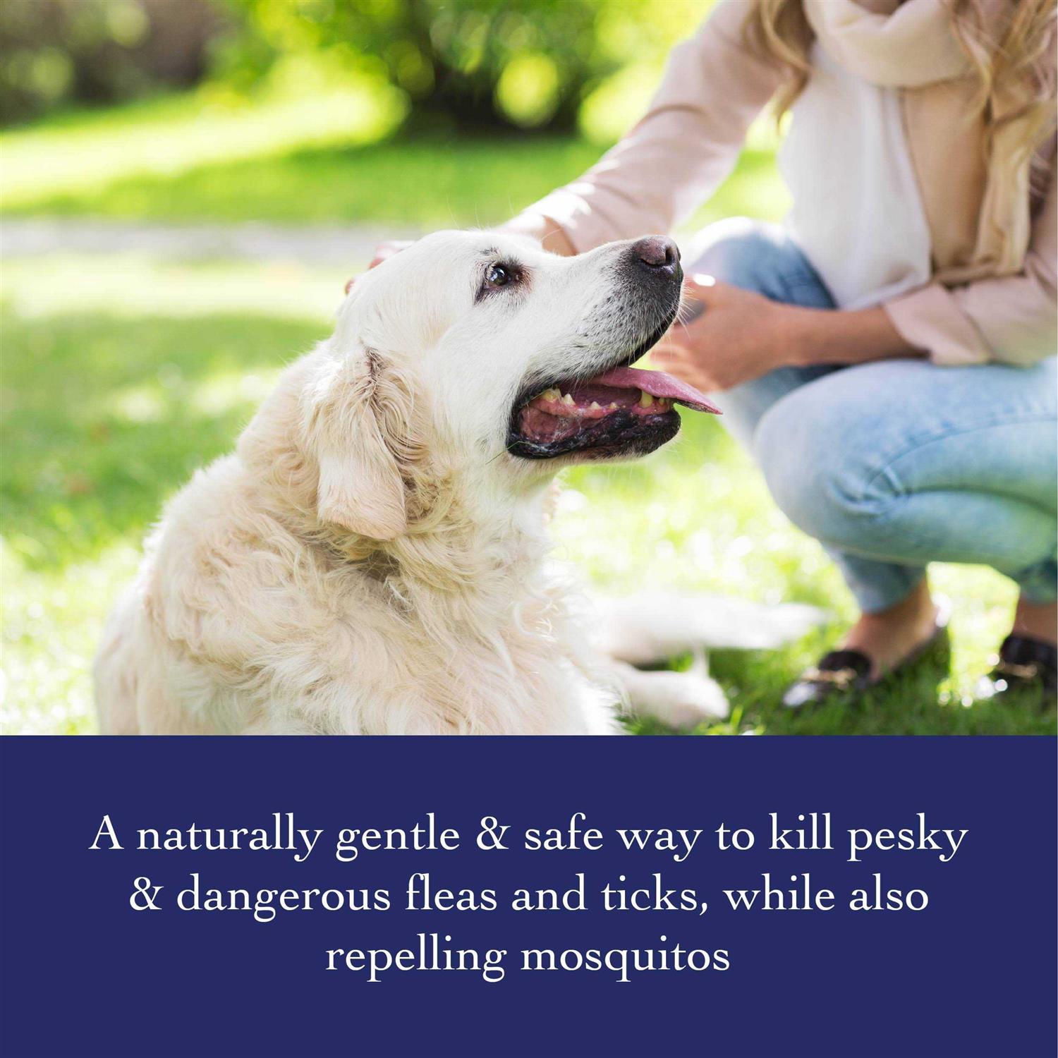 Alternative view of Richard's Organics Flea & Tick Shampoo