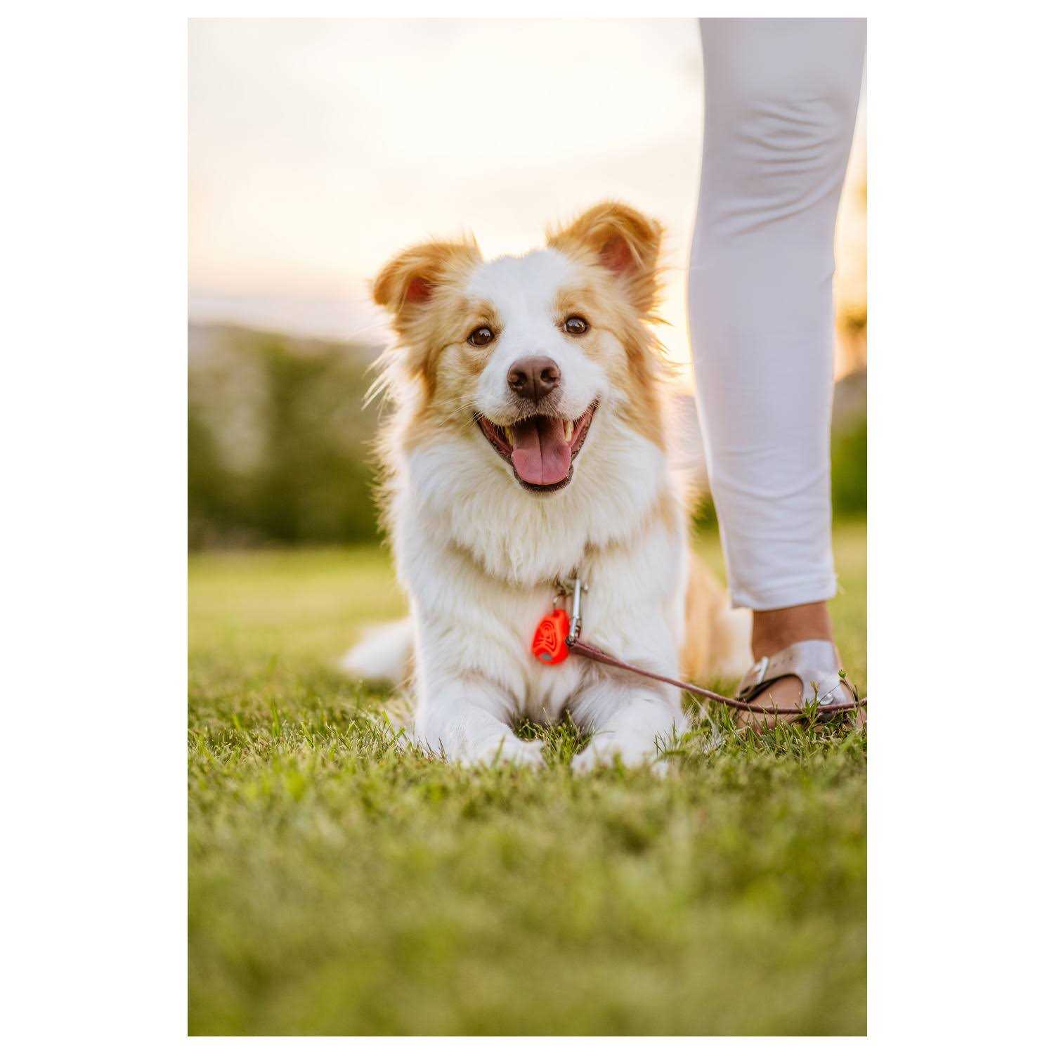 Alternative view of Tickless Pet Ultrasonic Tick and Flea Repeller