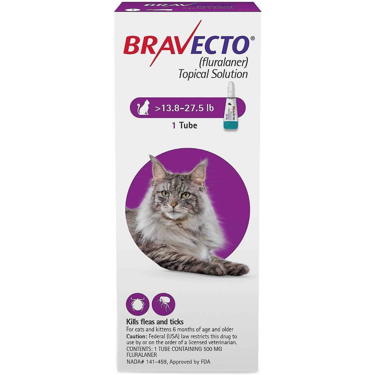 Bravecto Topical Solution for Cats