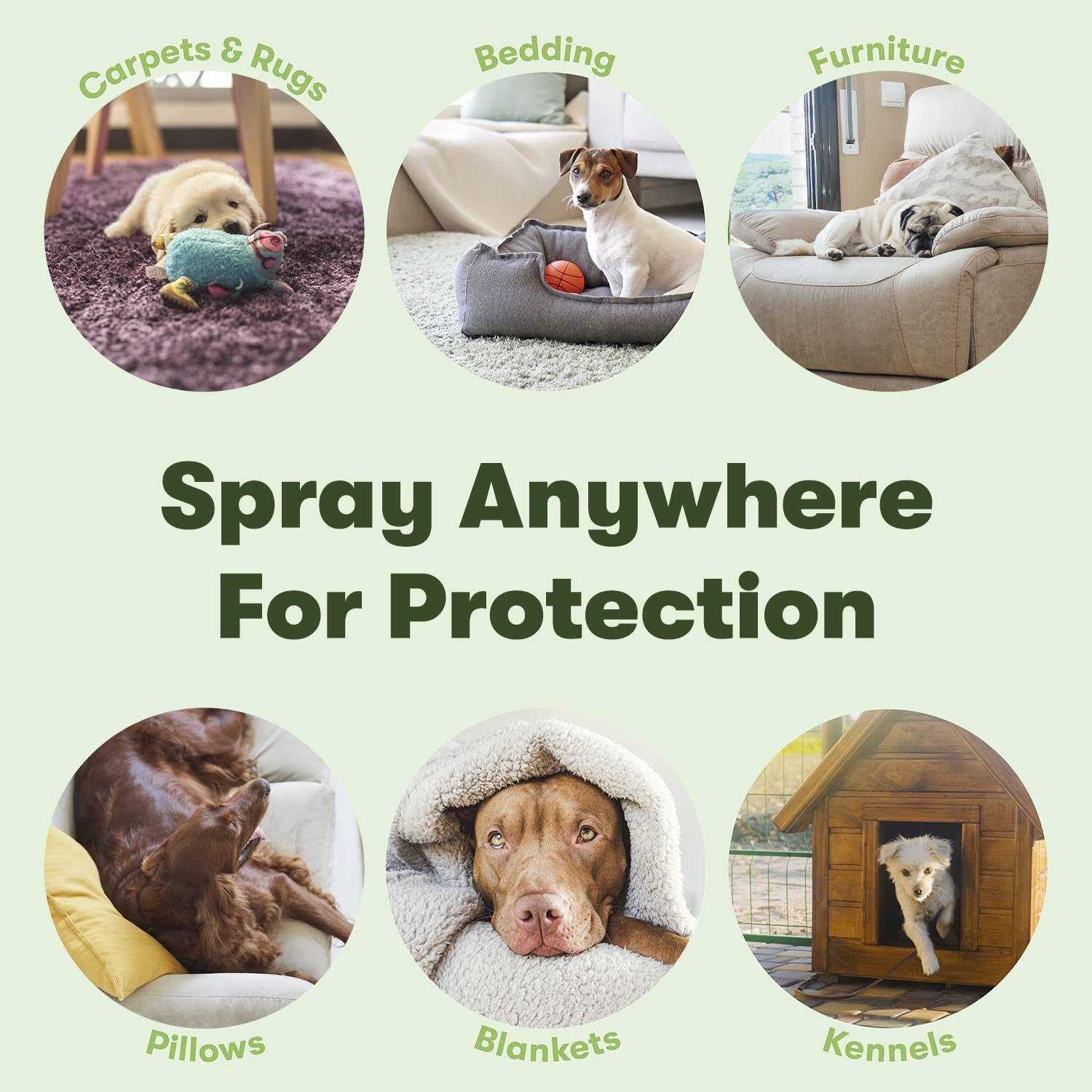 Alternative view of Bugmd Flea and Tick Concentrate Essential Oil-Powered Formula, Controls Fleas, Ticks, Mites in Dogs, Cats, and Other Furred