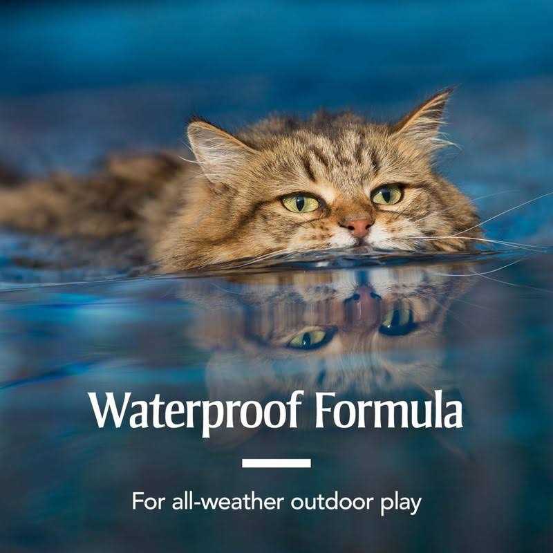 Alternative view of PetArmor Flea and Tick Treatment for Cats