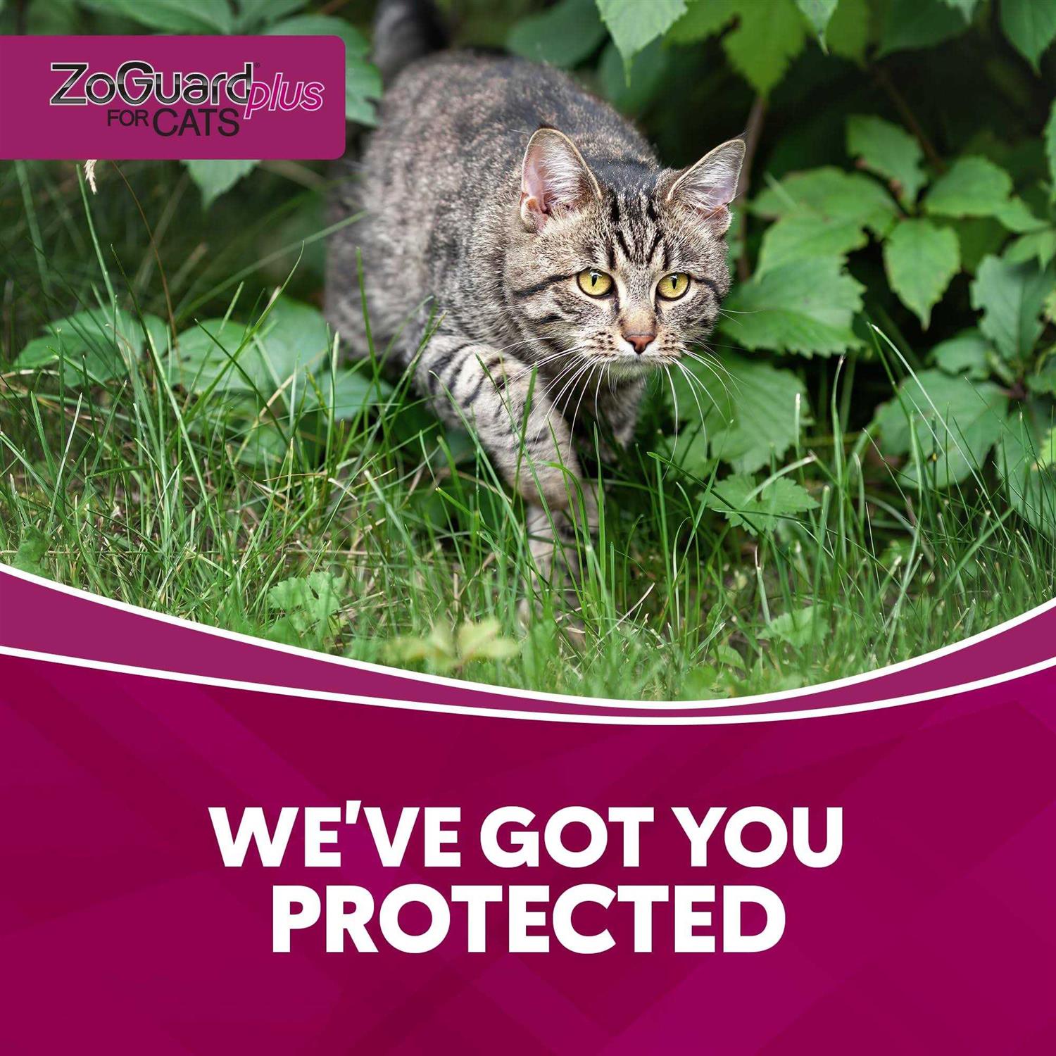 Alternative view of ZoGuard Plus for Cats