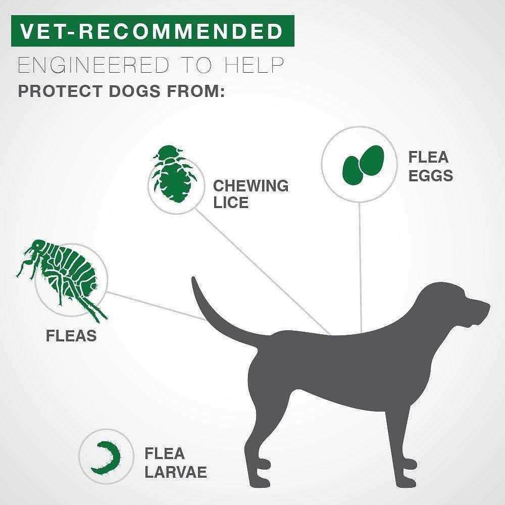 Alternative view of Advantage II Medium Dog