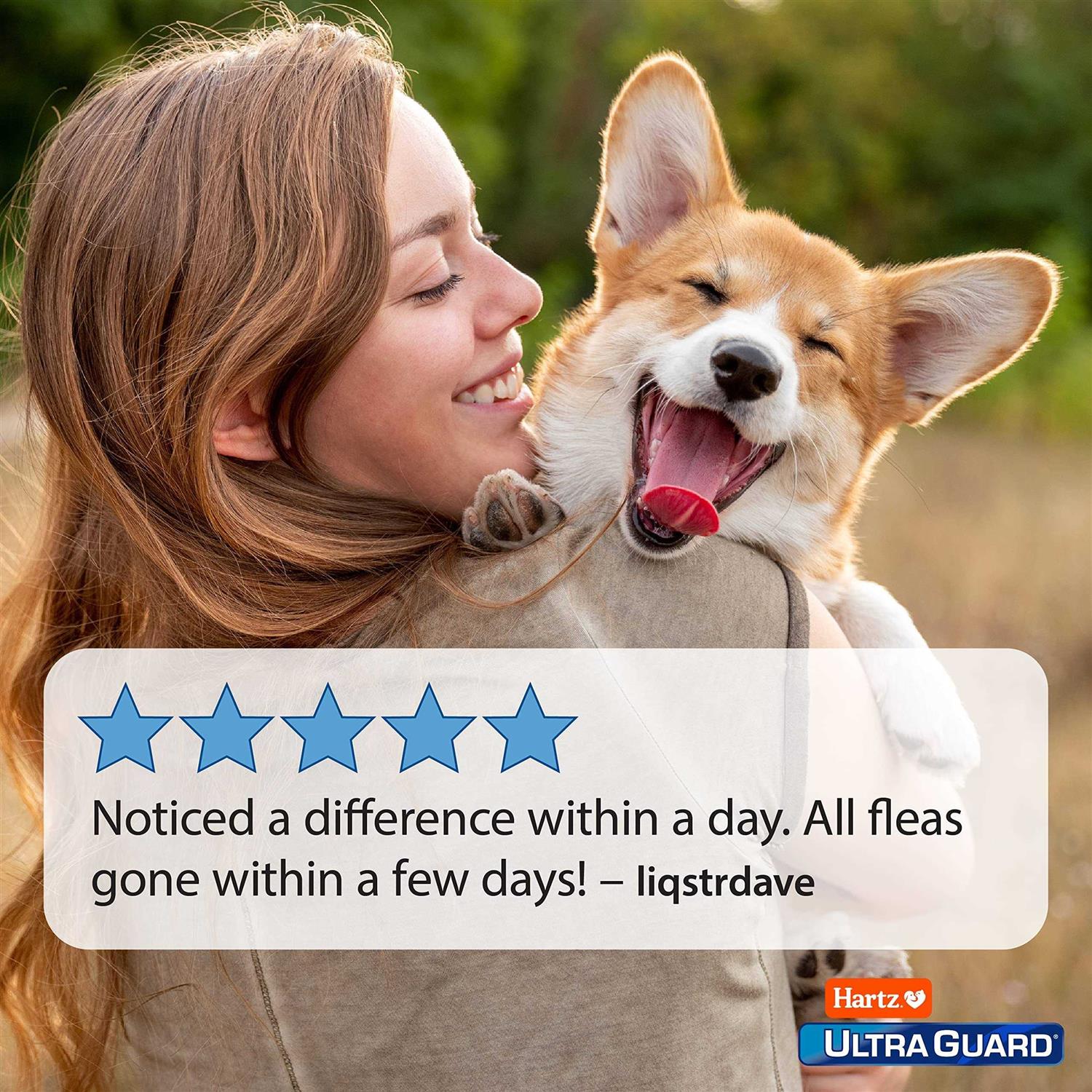 Alternative view of Hartz UltraGuard Flea & Tick Spray for Dogs
