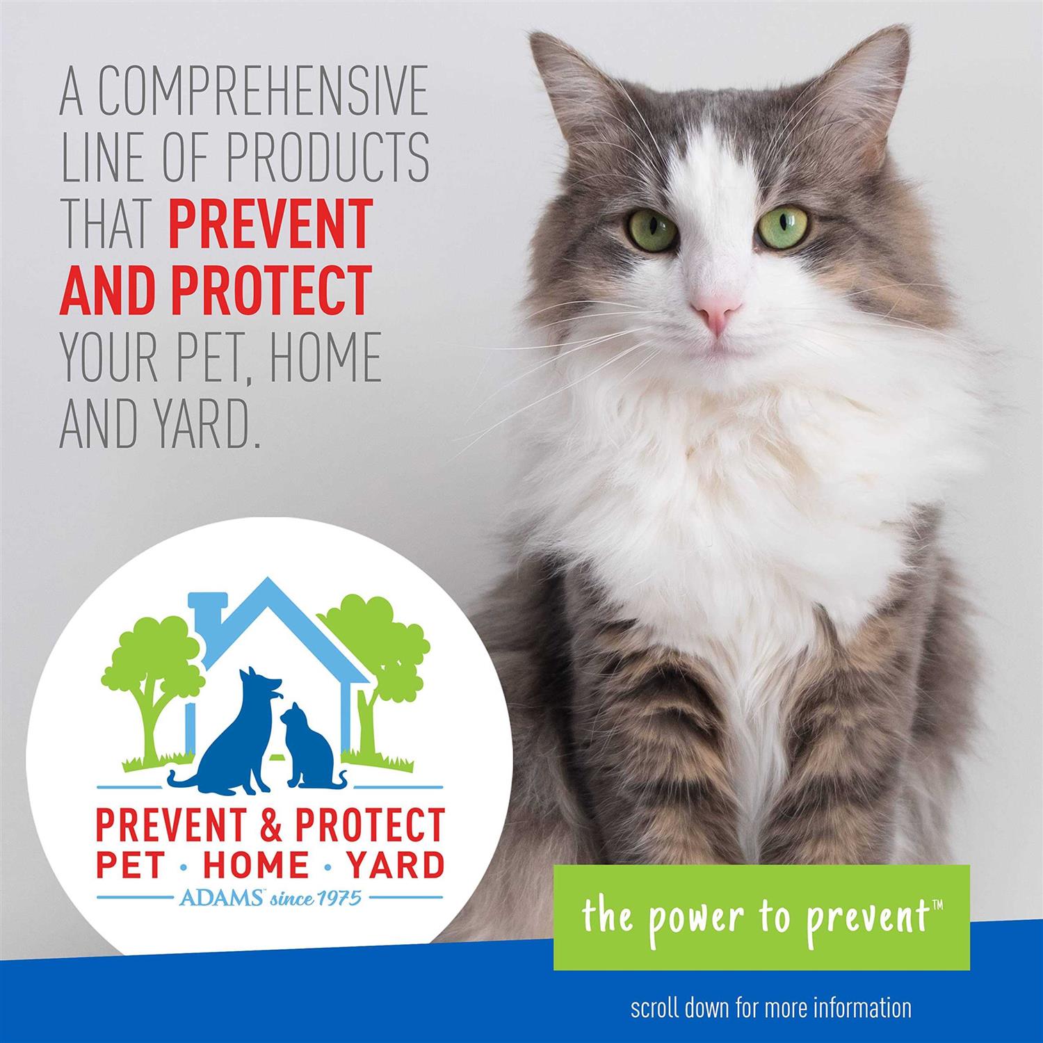 Alternative view of Adams Flea & Tick Cleansing Shampoo for Cats