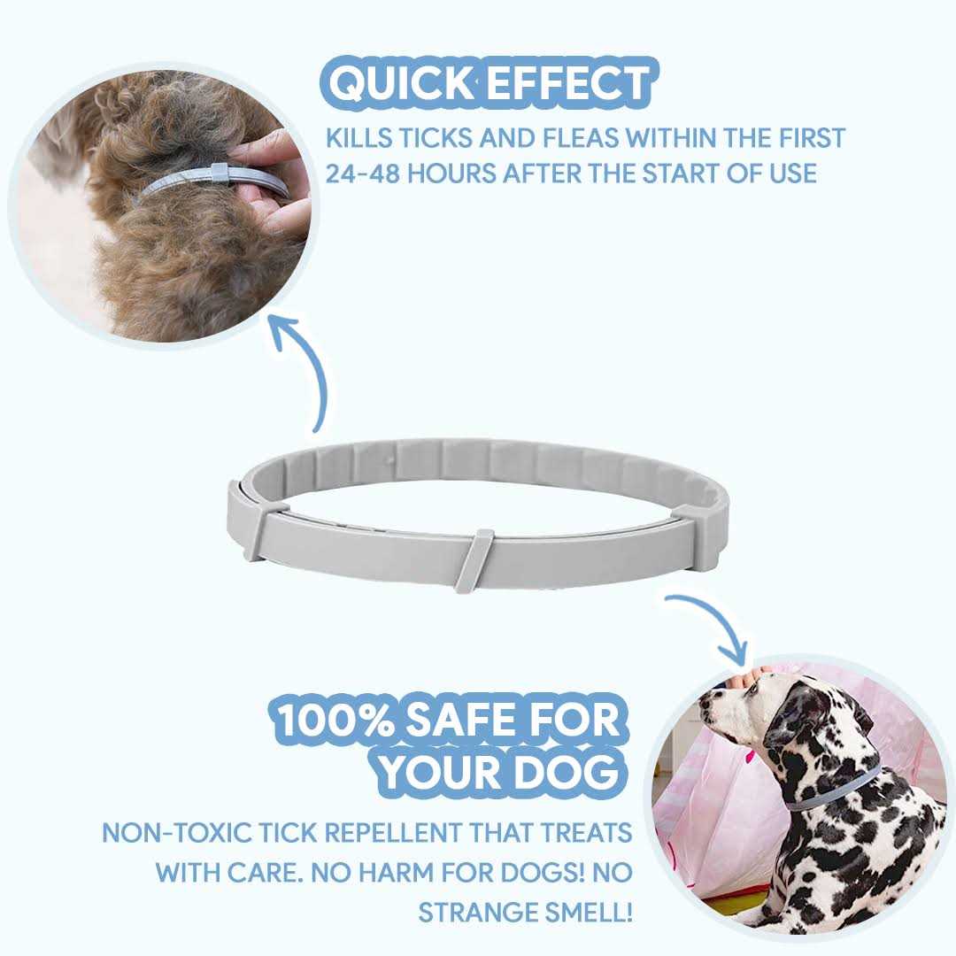 Alternative view of PupsDream UK AntiTickCollar V.2. Flea & Tick Repellent Dog Tick Protection Collar