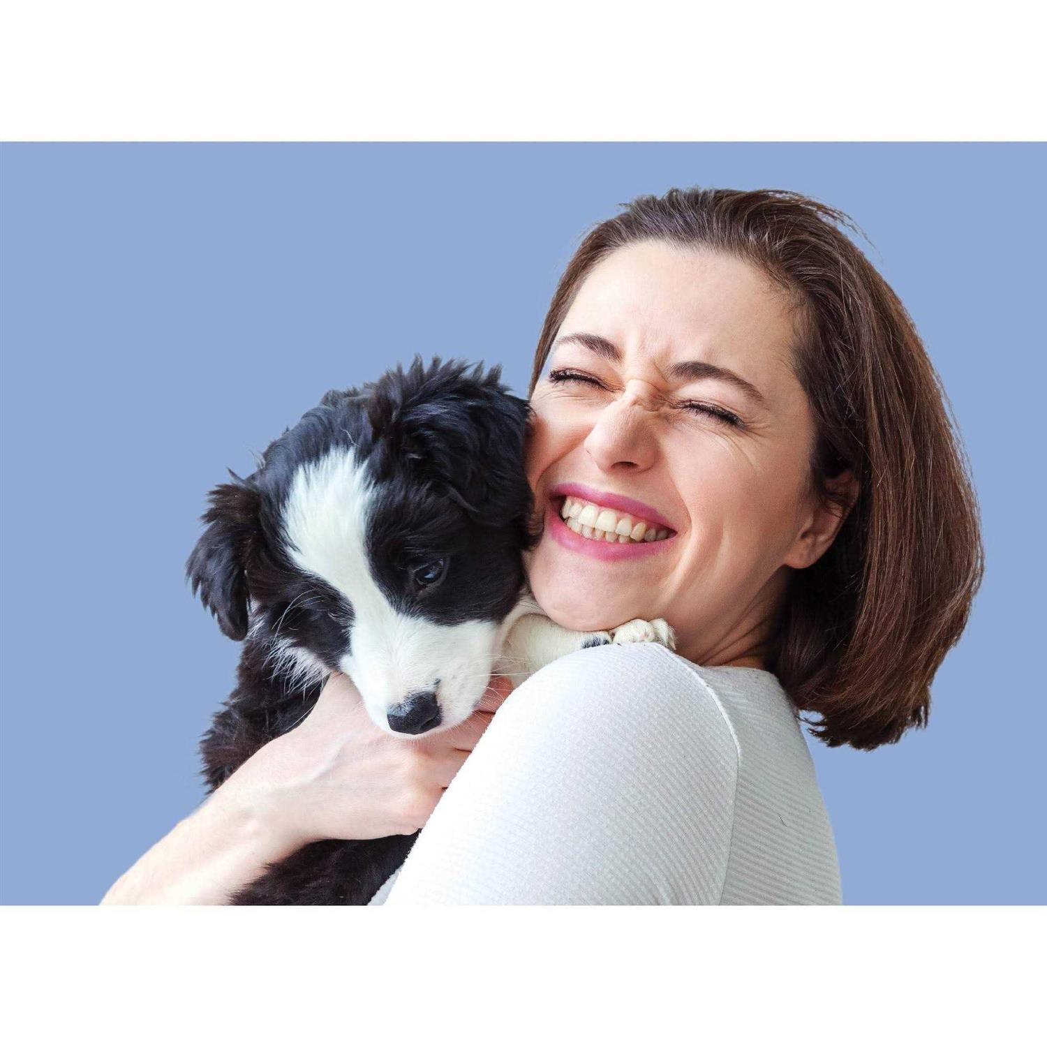 Alternative view of CapAction Fast Acting Flea Treatment for Small Dogs