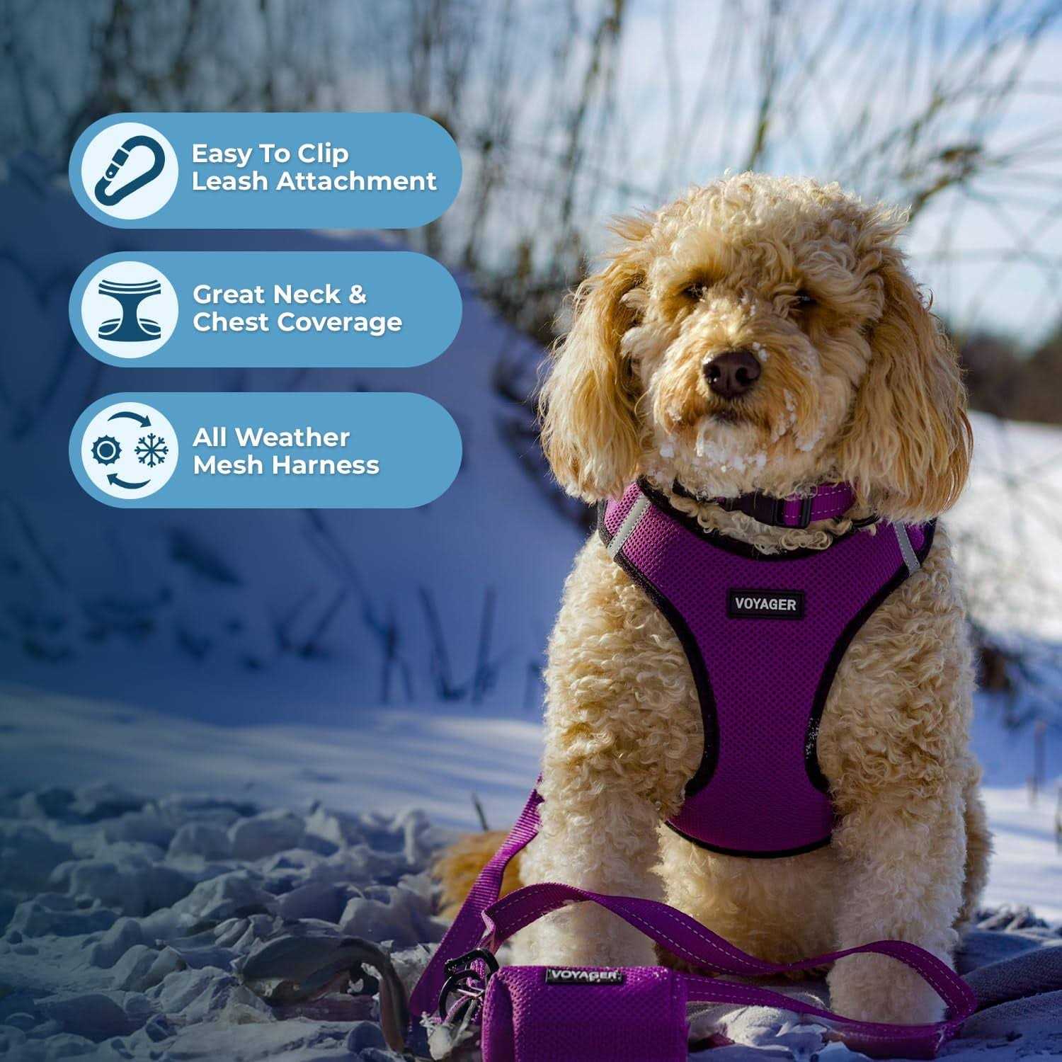 Alternative view of Voyager Step-in Air Dog Harness All Weather Mesh Step in Vest Harness for Small and Medium Dogs by Best Pet Supplies