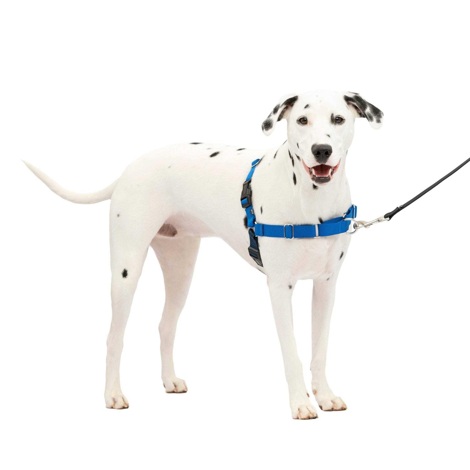 Alternative view of PetSafe Easy Walk Dog Harness
