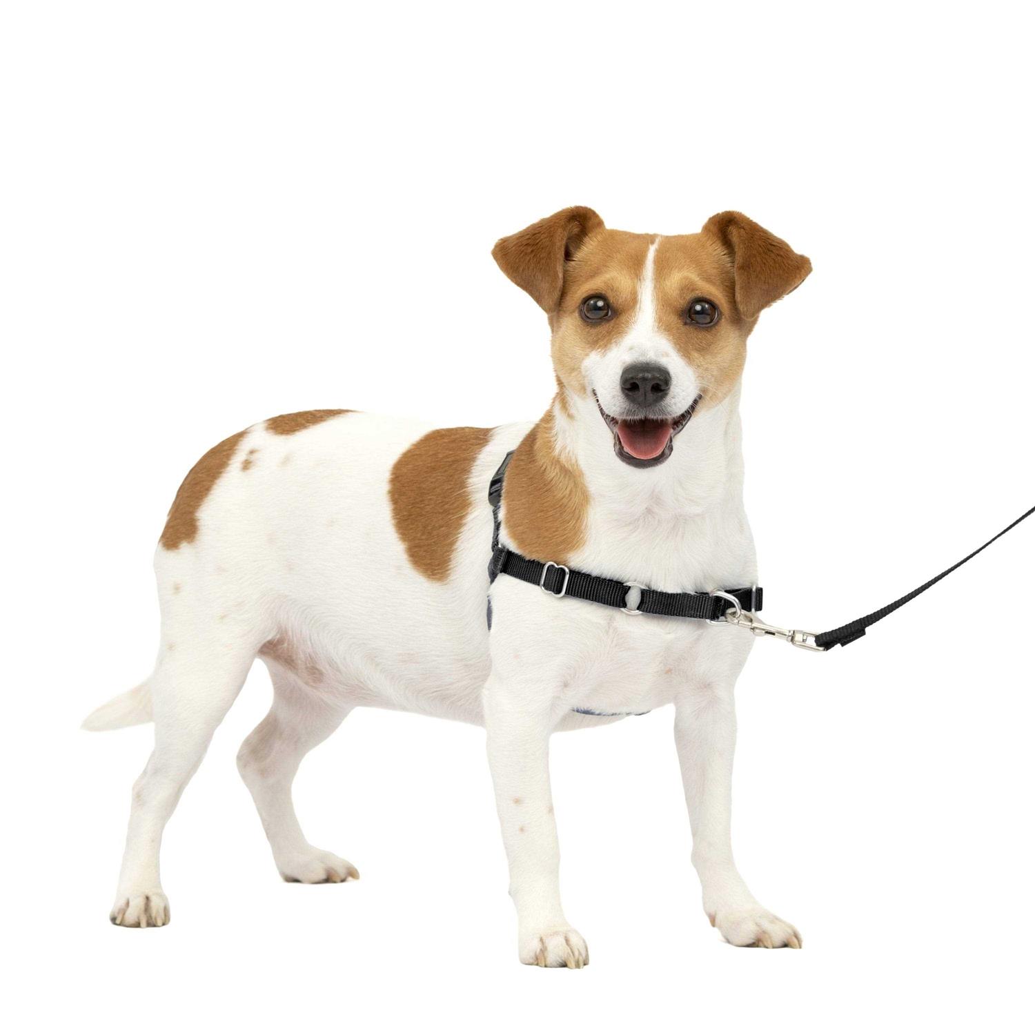 Alternative view of PetSafe Easy Walk Dog Harness