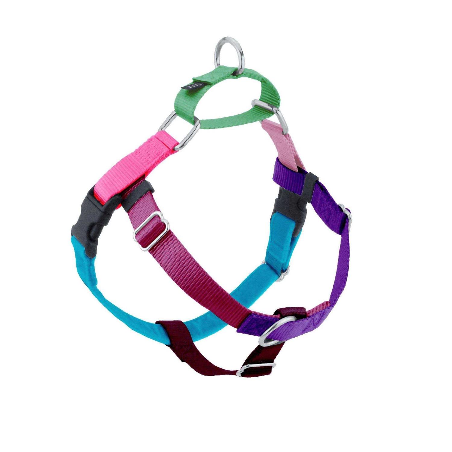 2 Hounds Design Freedom No Pull Dog Harness Leash