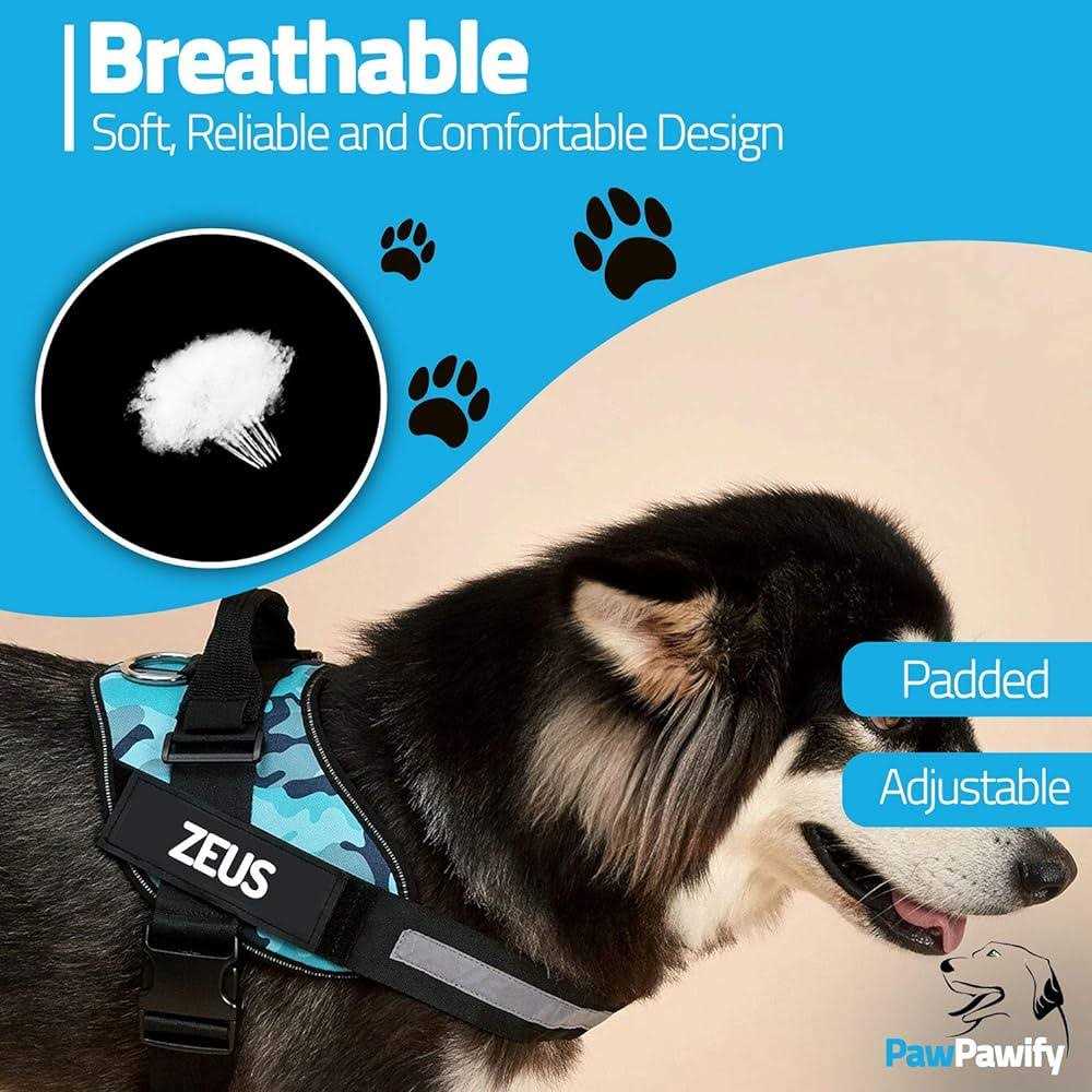 Alternative view of PawPawify Lifetime Warranty Personalized Easy-On No Pull Dog Harness