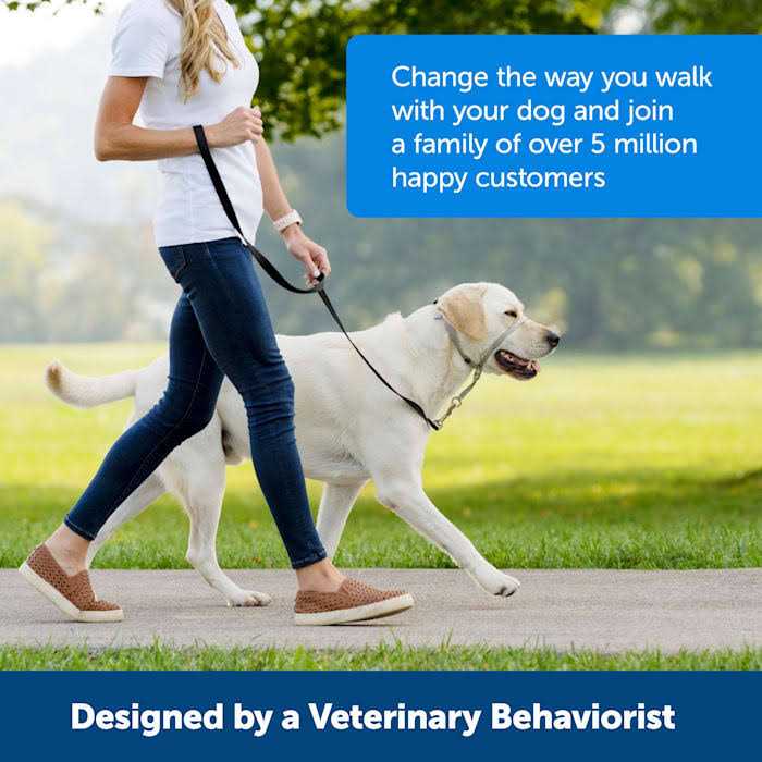 Alternative view of PetSafe Gentle Leader Headcollar