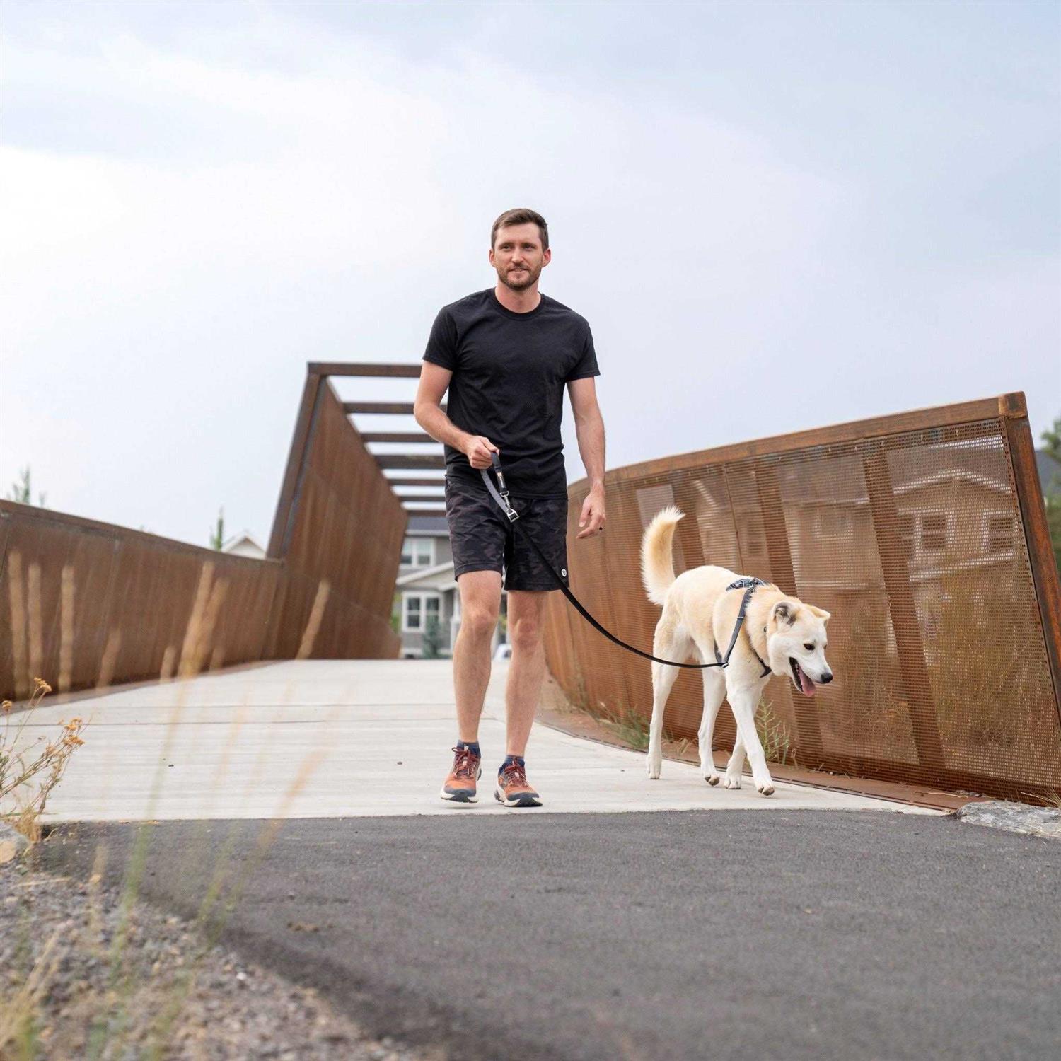 Alternative view of Front Range Harness RuffWear