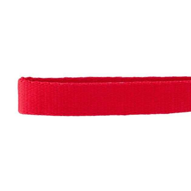 Alternative view of GoTags Nylon Personalized Dog Collar