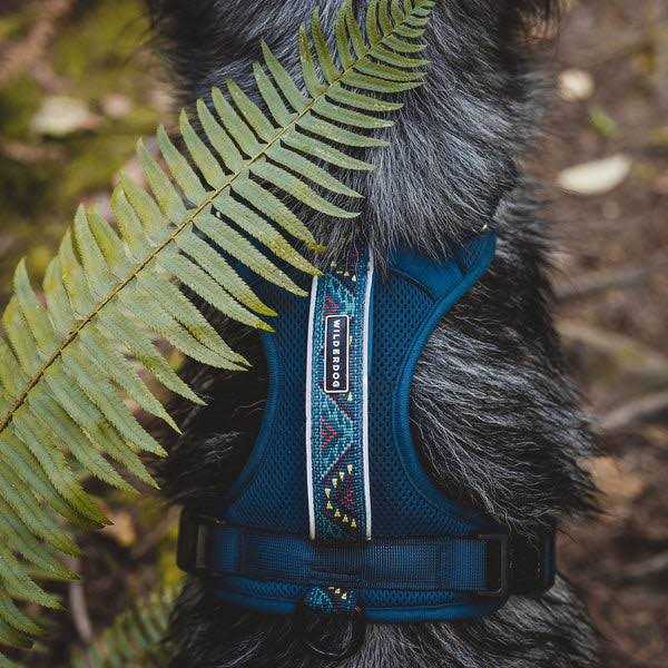 Alternative view of Wilderdog Harness