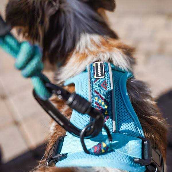 Alternative view of Wilderdog Harness