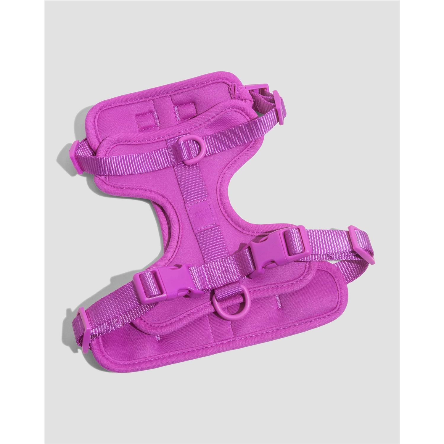 Alternative view of Wild One Dog Harness