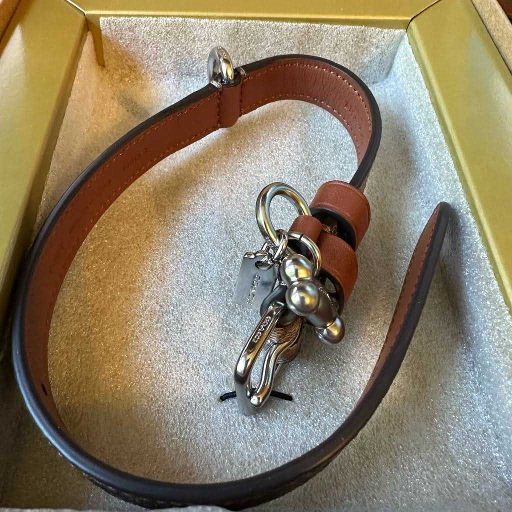 Alternative view of Coach Outlet Boxed Pet Collar In Signature Canvas