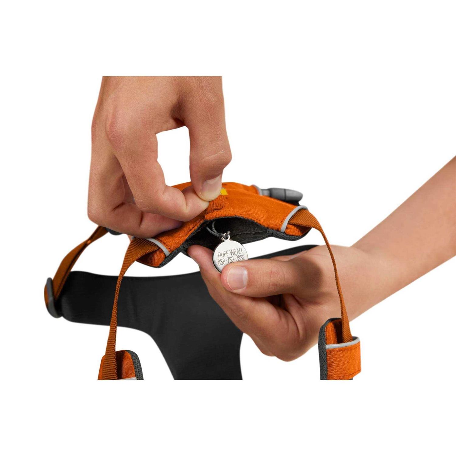 Alternative view of Front Range Harness Ruffwear