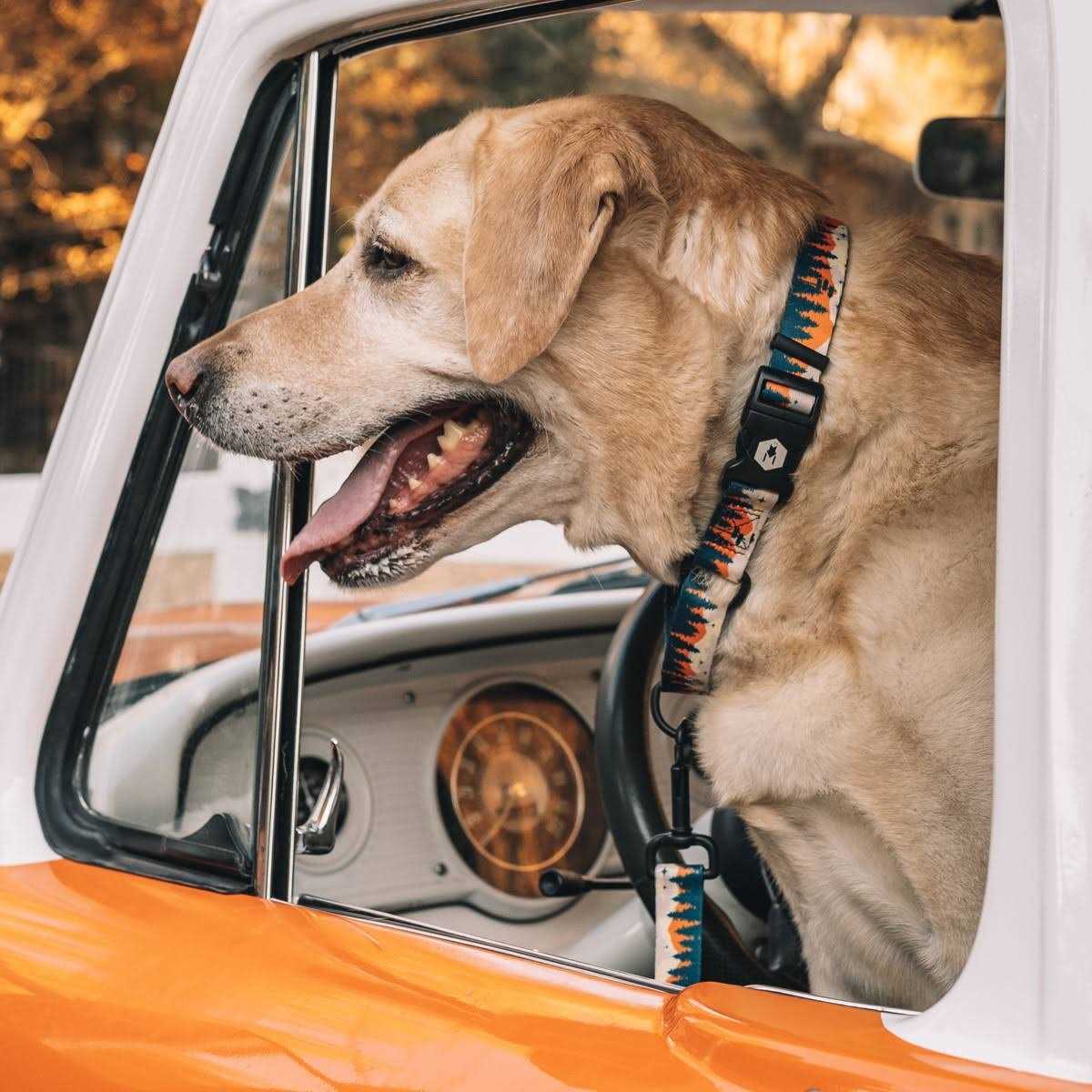 Alternative view of Wolfgang Martingale Dog Collar