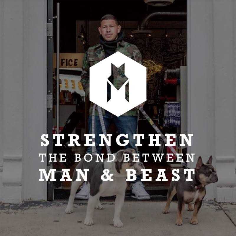 Alternative view of Wolfgang Martingale Dog Collar