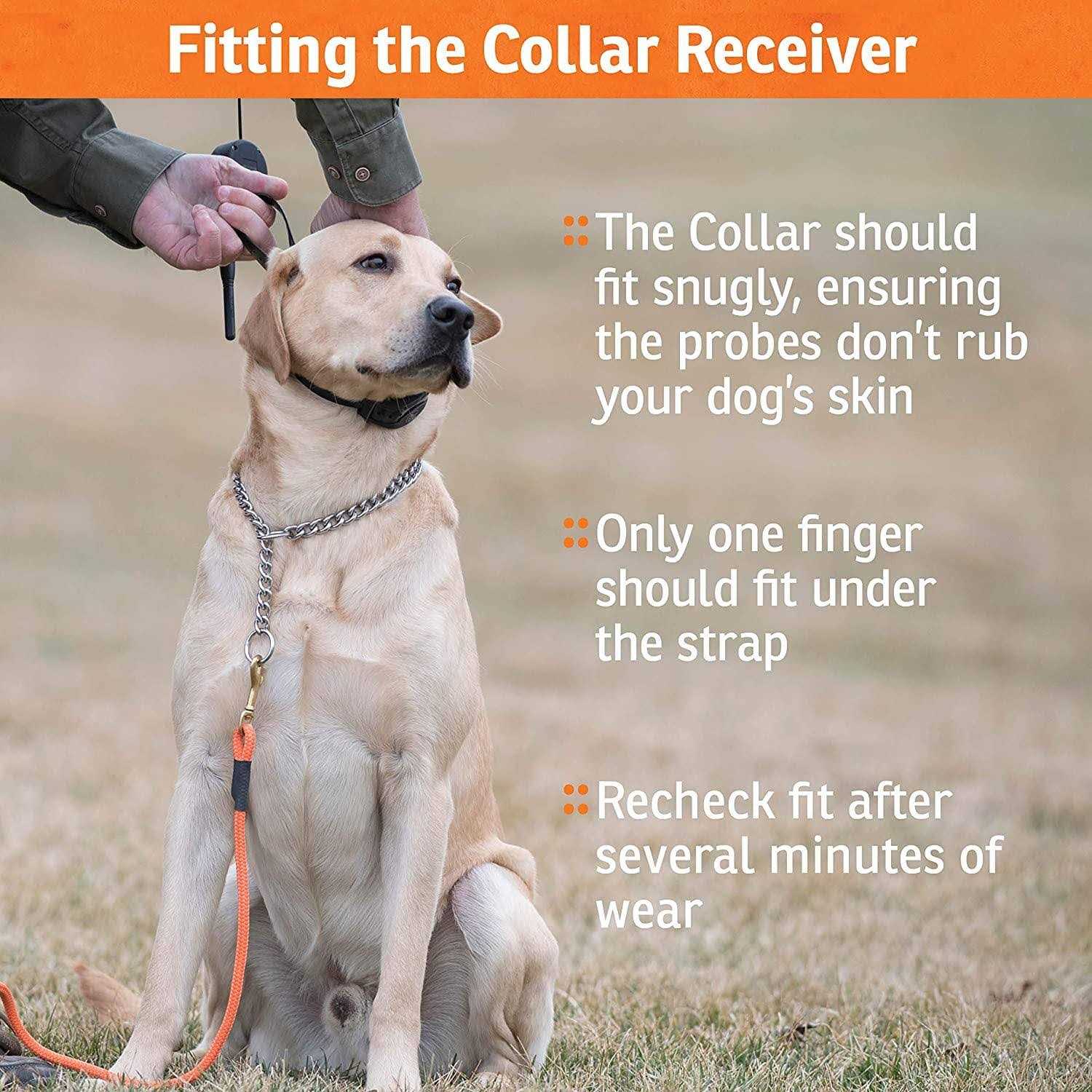 Alternative view of SportDOG FieldTrainer