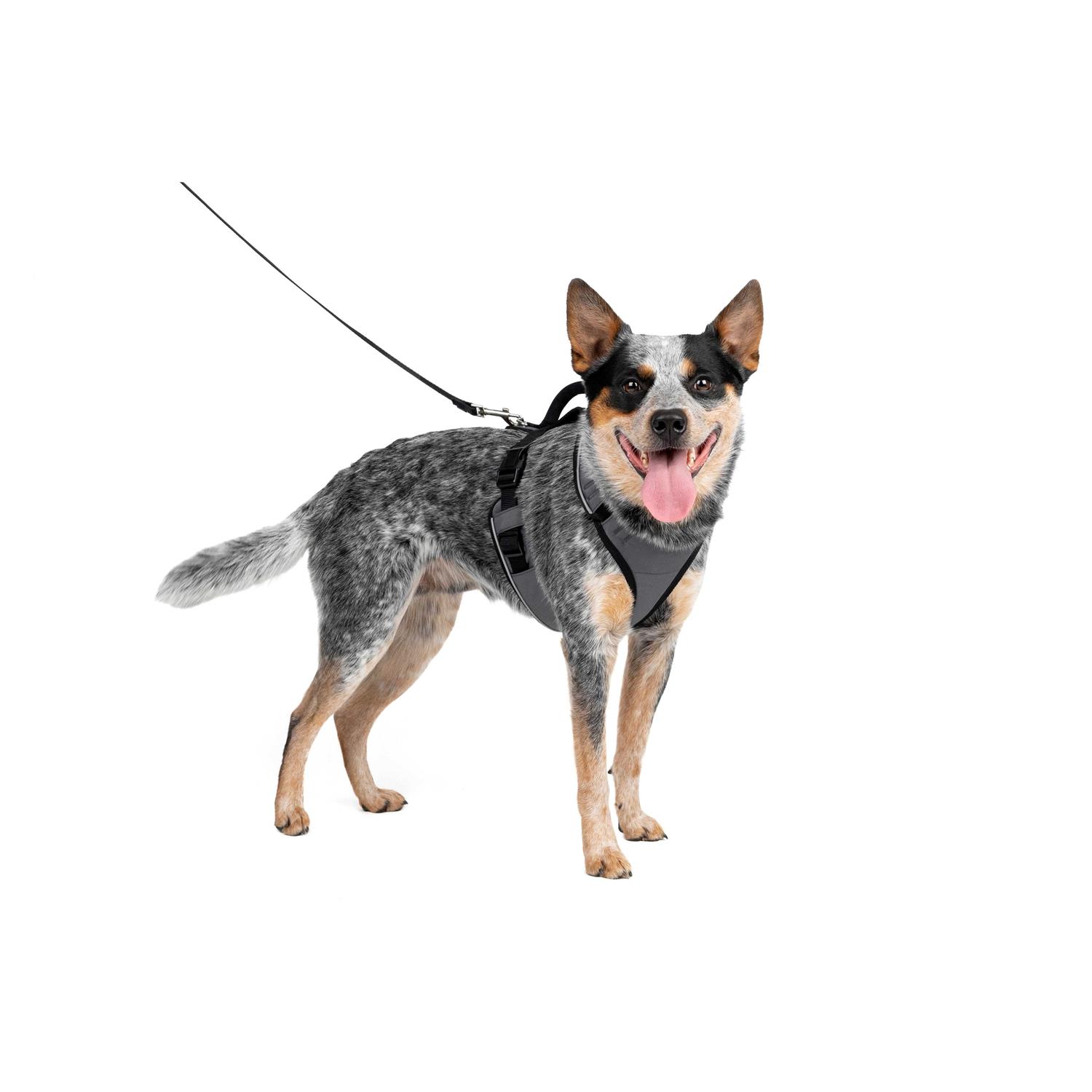 Alternative view of PetSafe EasySport Dog Harness