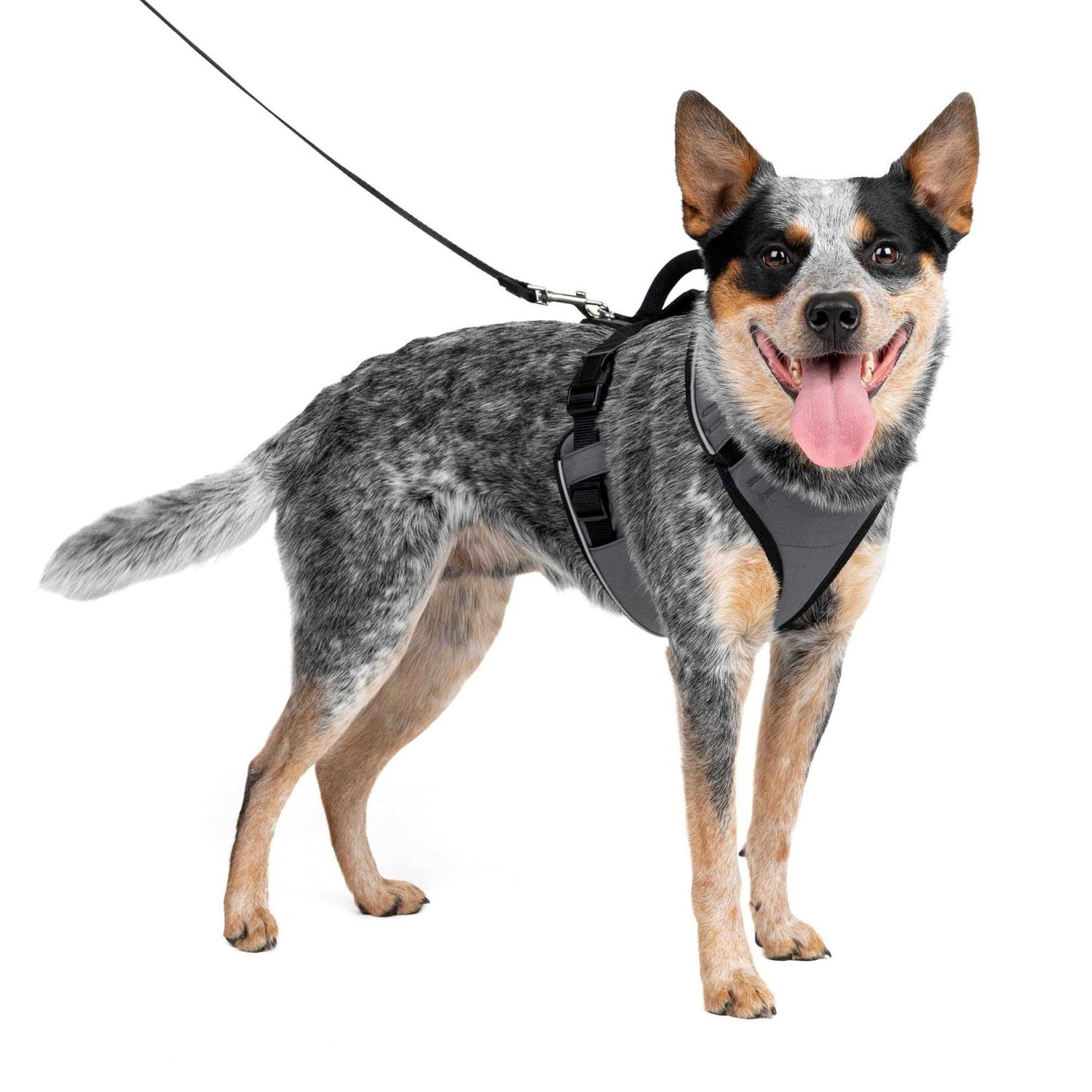 PetSafe EasySport Dog Harness