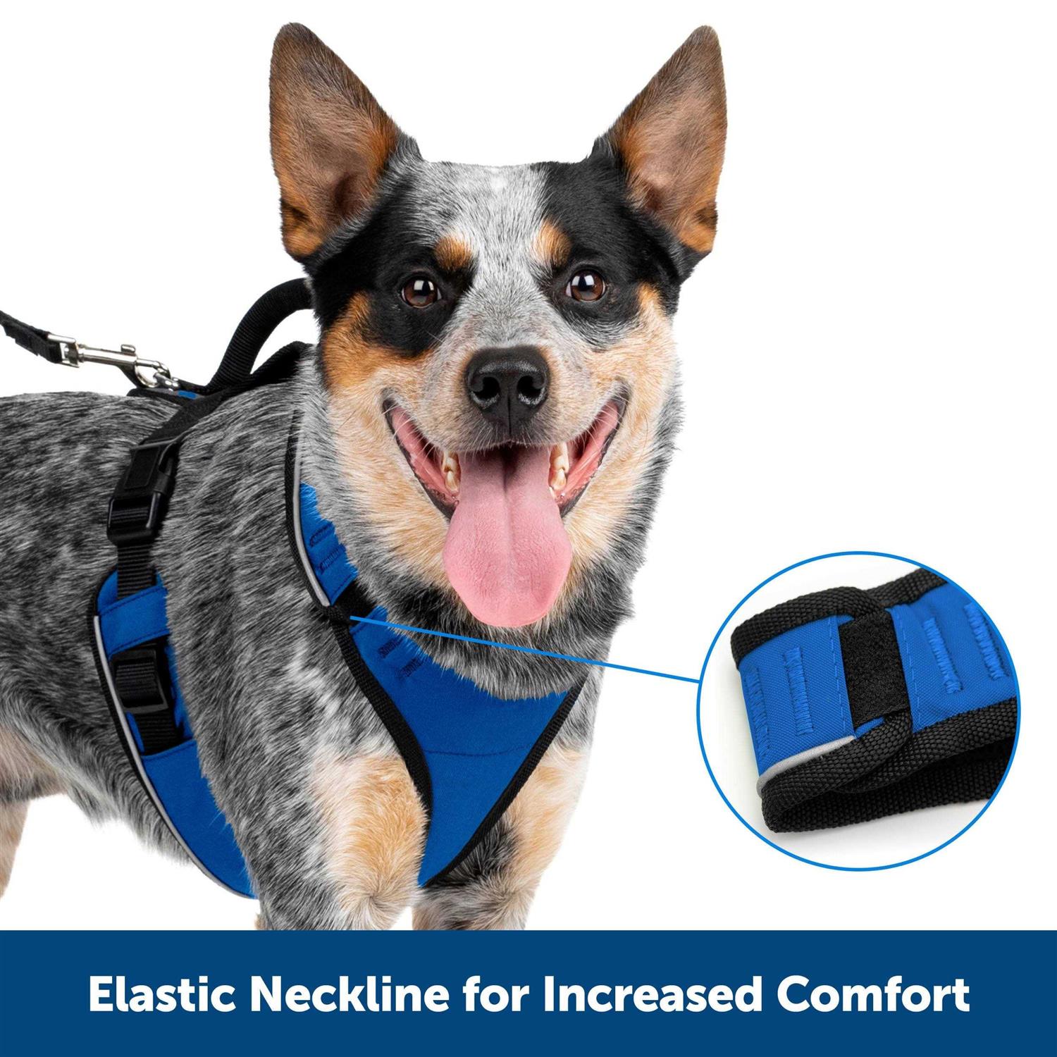 Alternative view of PetSafe EasySport Dog Harness