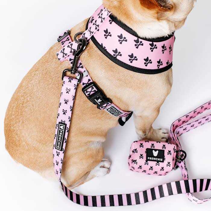 Alternative view of Frenchie Duo Reversible Harness