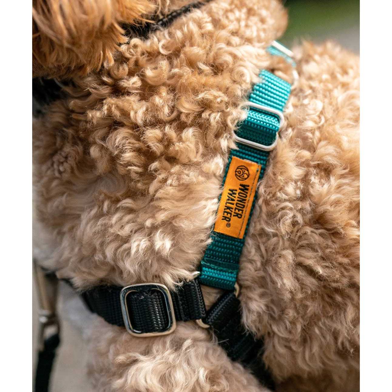 Alternative view of Wonder Walker Body Halter Dog Harness
