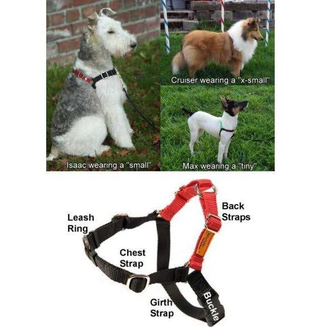 Alternative view of Wonder Walker Body Halter Dog Harness
