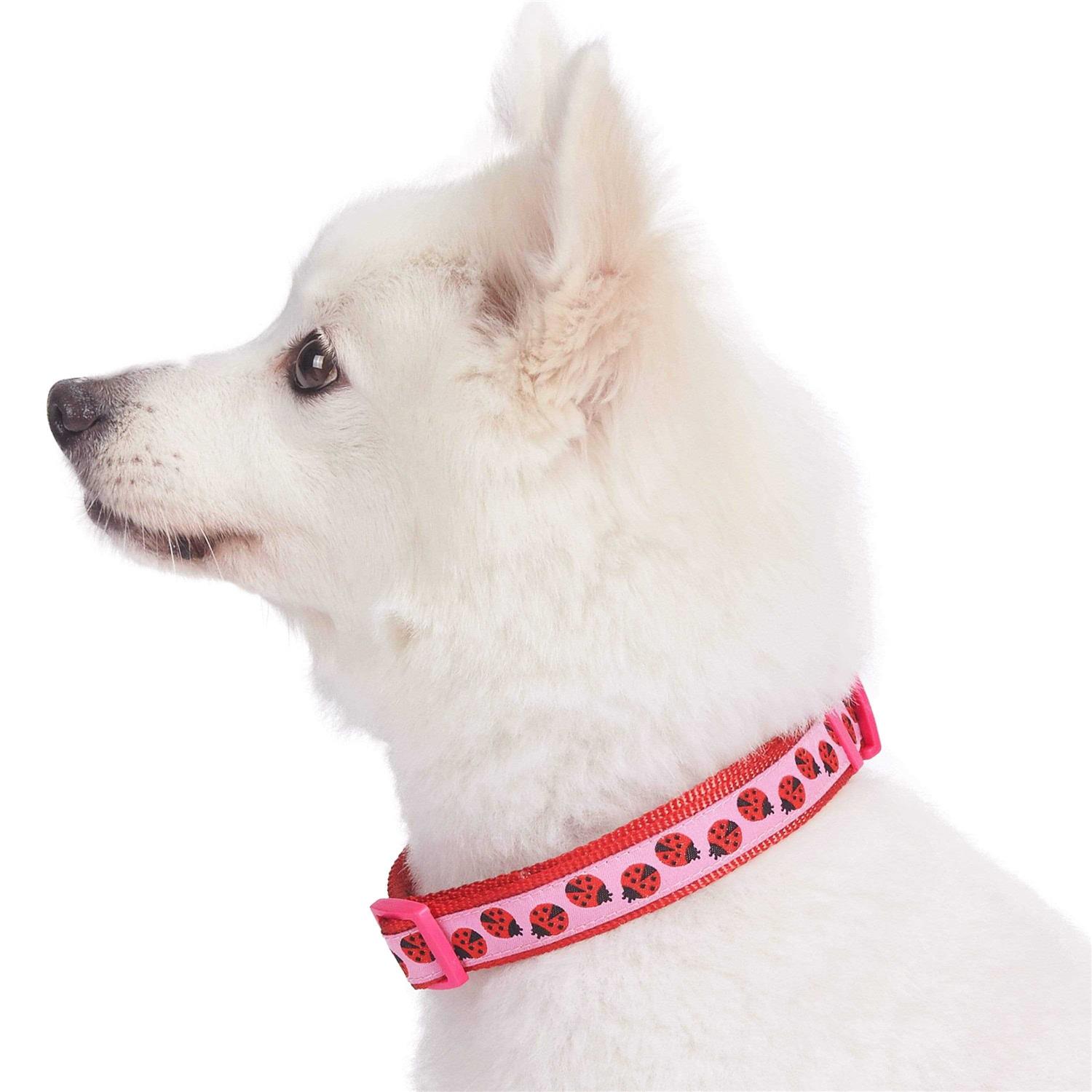 Alternative view of Blueberry Pet Dog Collar