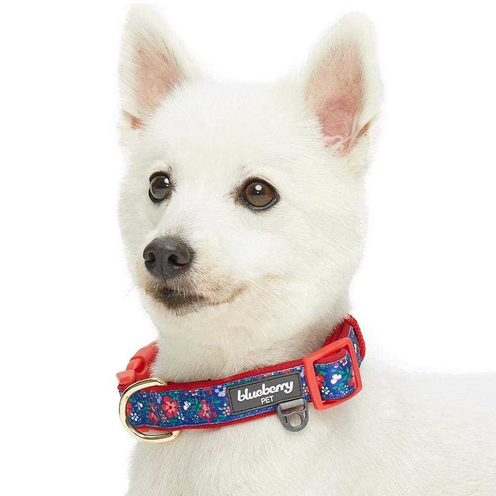 Alternative view of Blueberry Pet Dog Collar