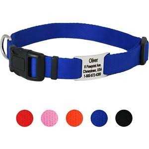 Alternative view of GoTags Adjustable Nameplate Personalized Dog Collar
