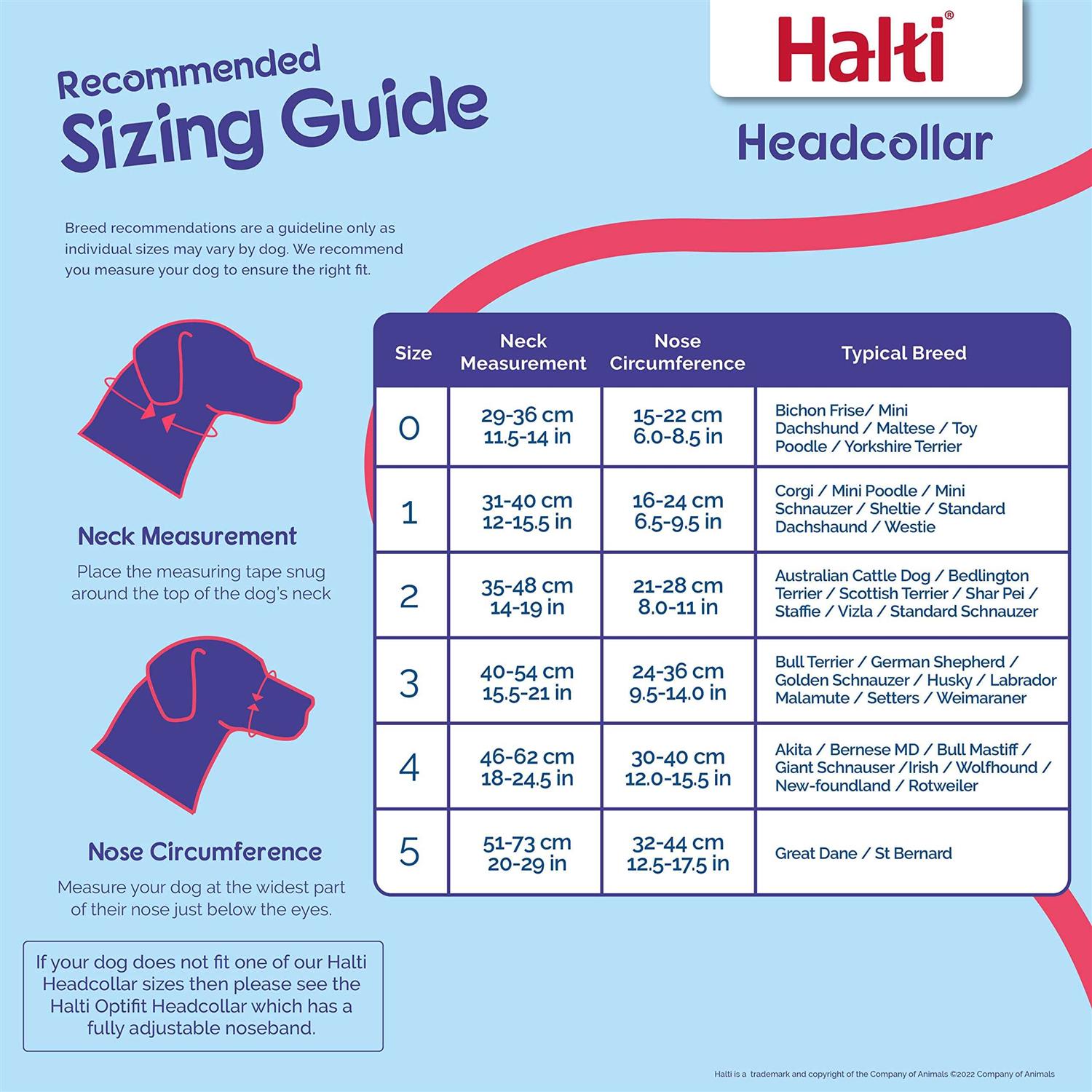 Alternative view of Halti Headcollar