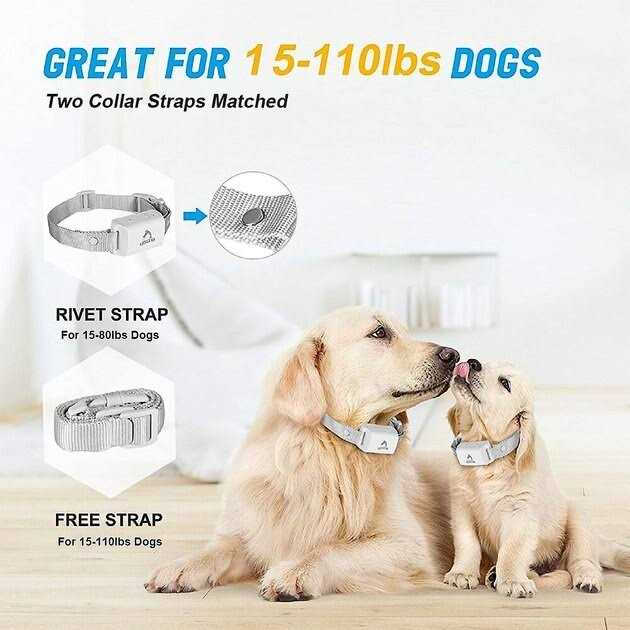 Alternative view of PATPET A01 Anti-Bark Training Dog Collar