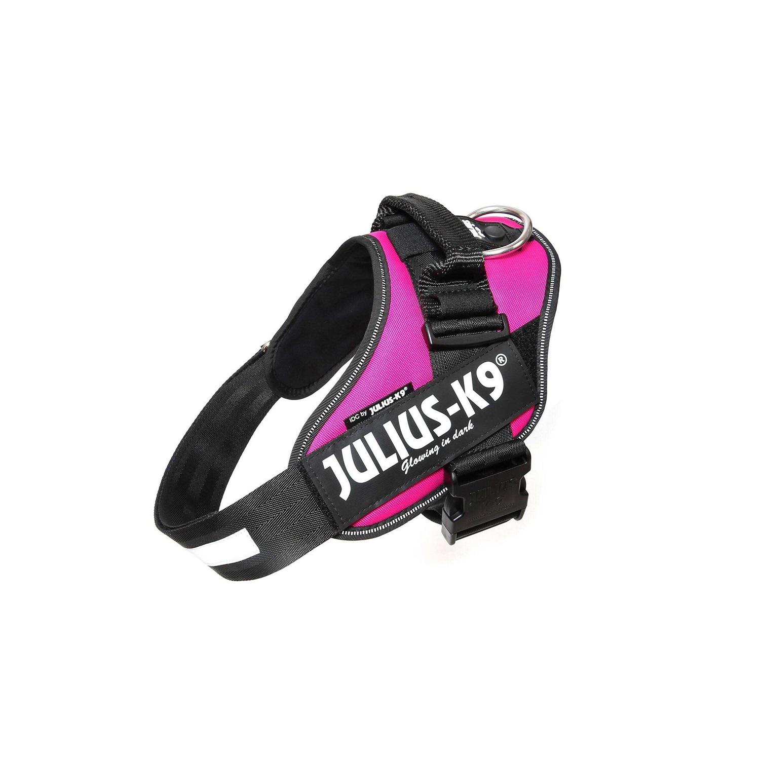 Julius-K9 IDC-Powerharness