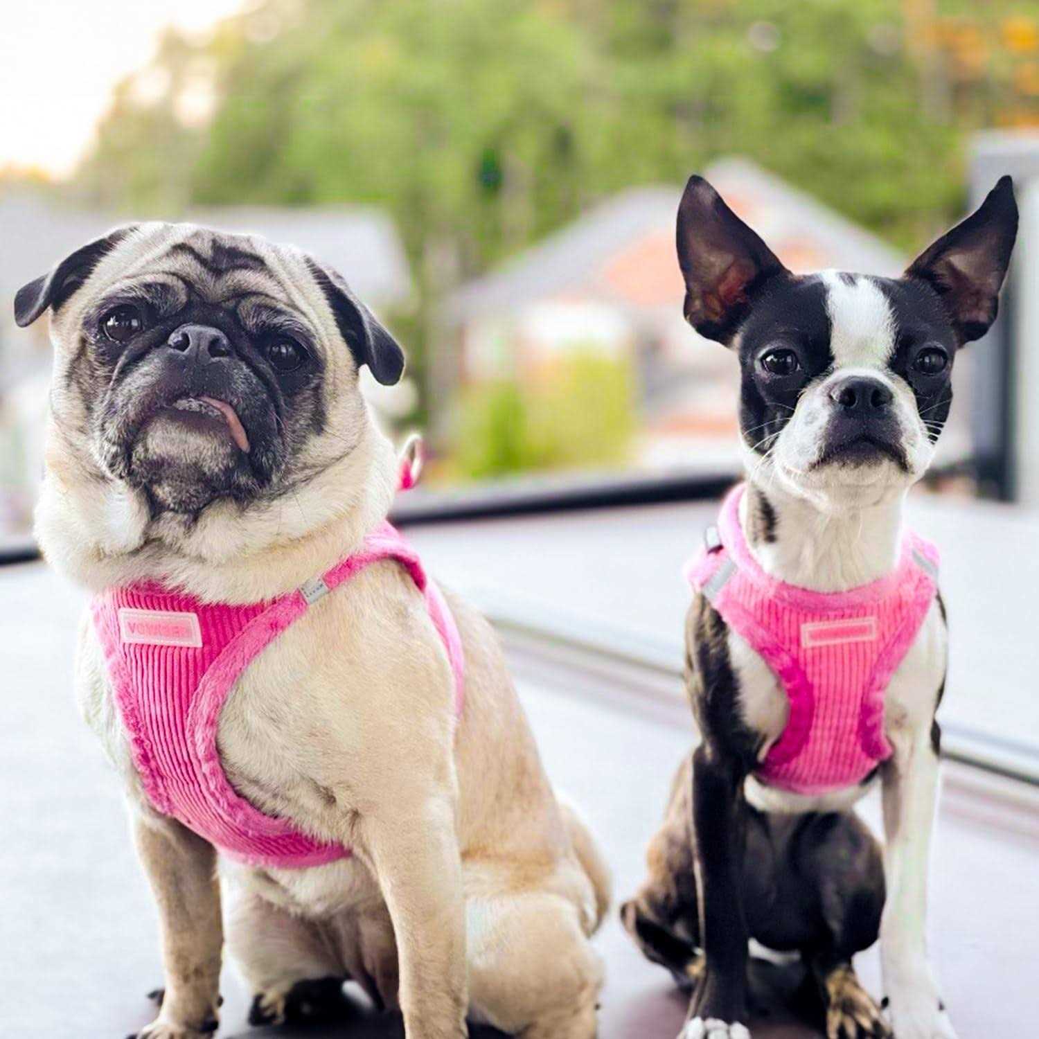 Alternative view of Voyager Step-In Plush Dog Harness Soft Plush, Step In Vest Harness for Small and Medium Dogs by Best Pet Supplies