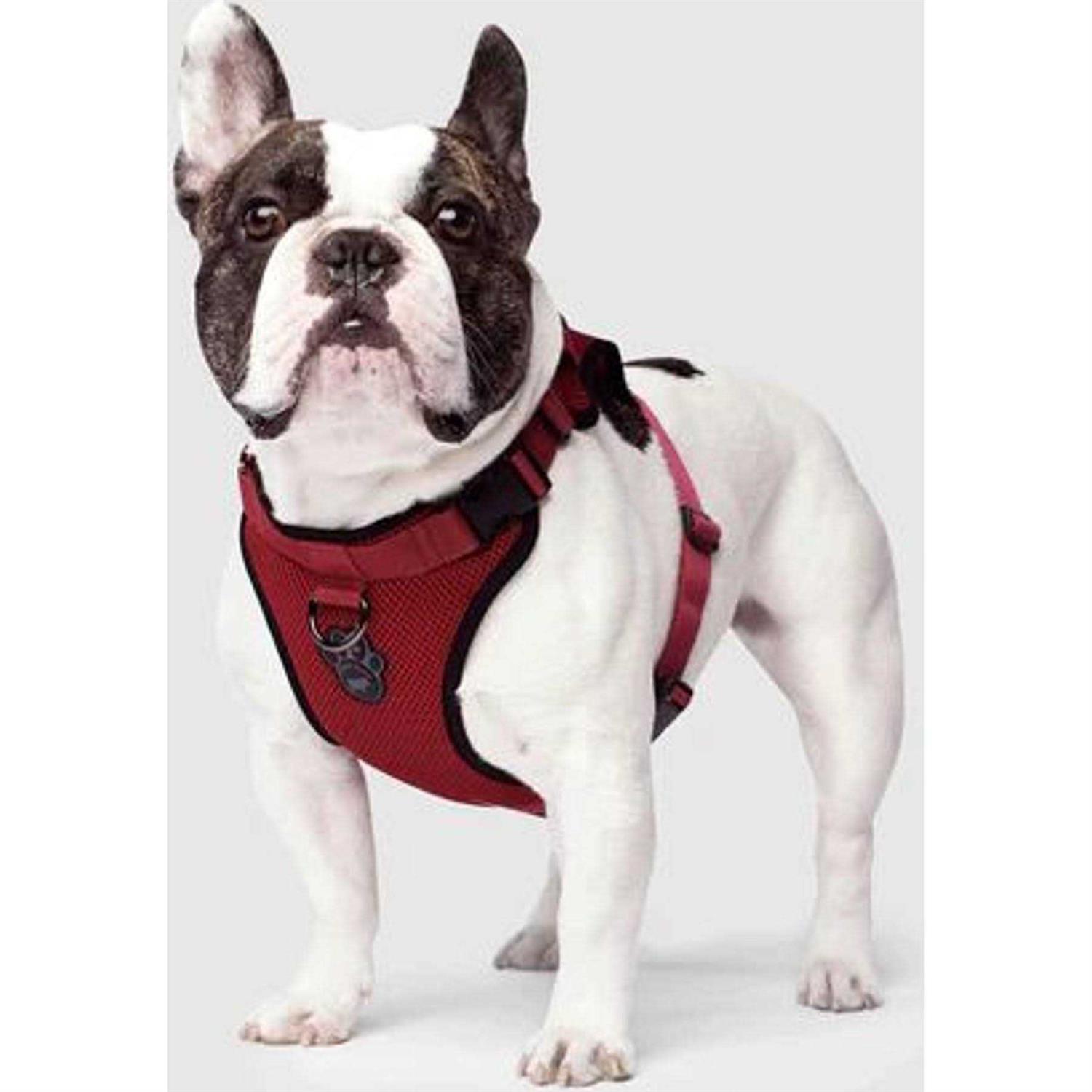 Alternative view of Canada Pooch Dog Everything Harness