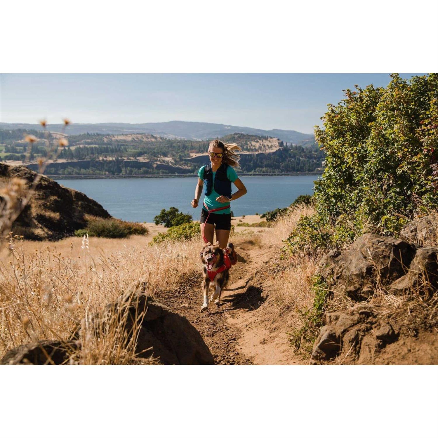 Alternative view of Ruffwear Switchbak Harness