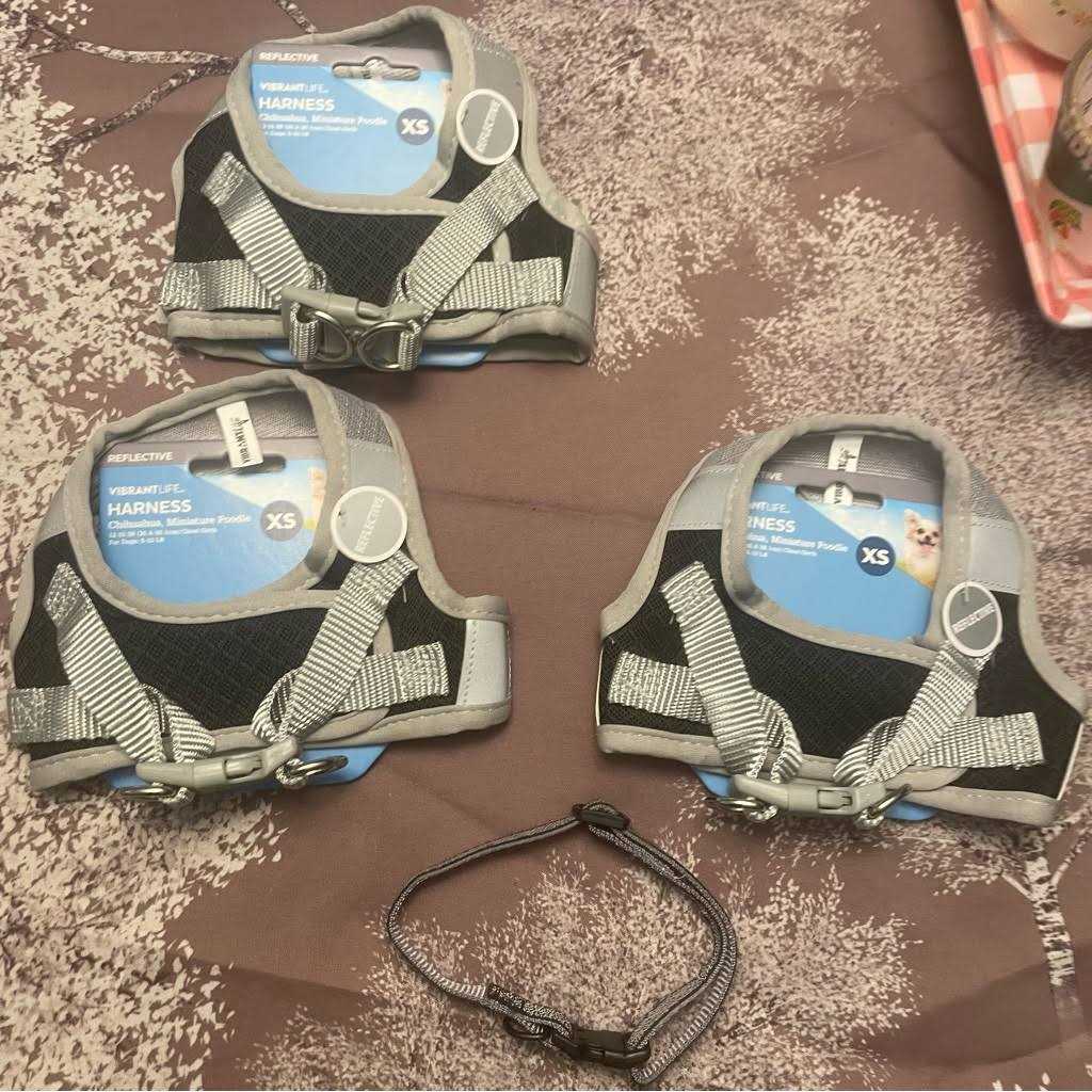 Alternative view of Vibrant Life Dog Harness
