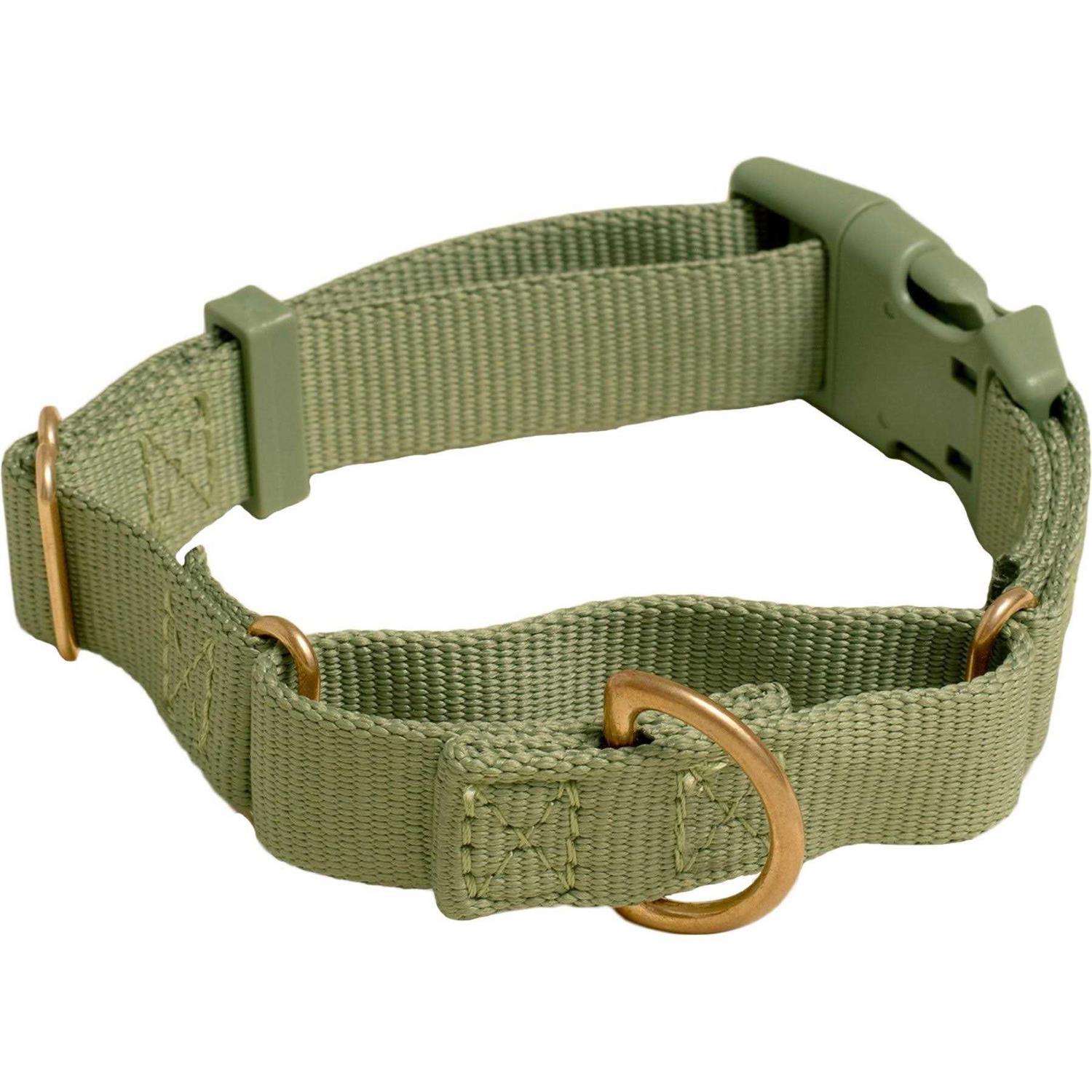 Awoo Marty Martingale Dog Collar