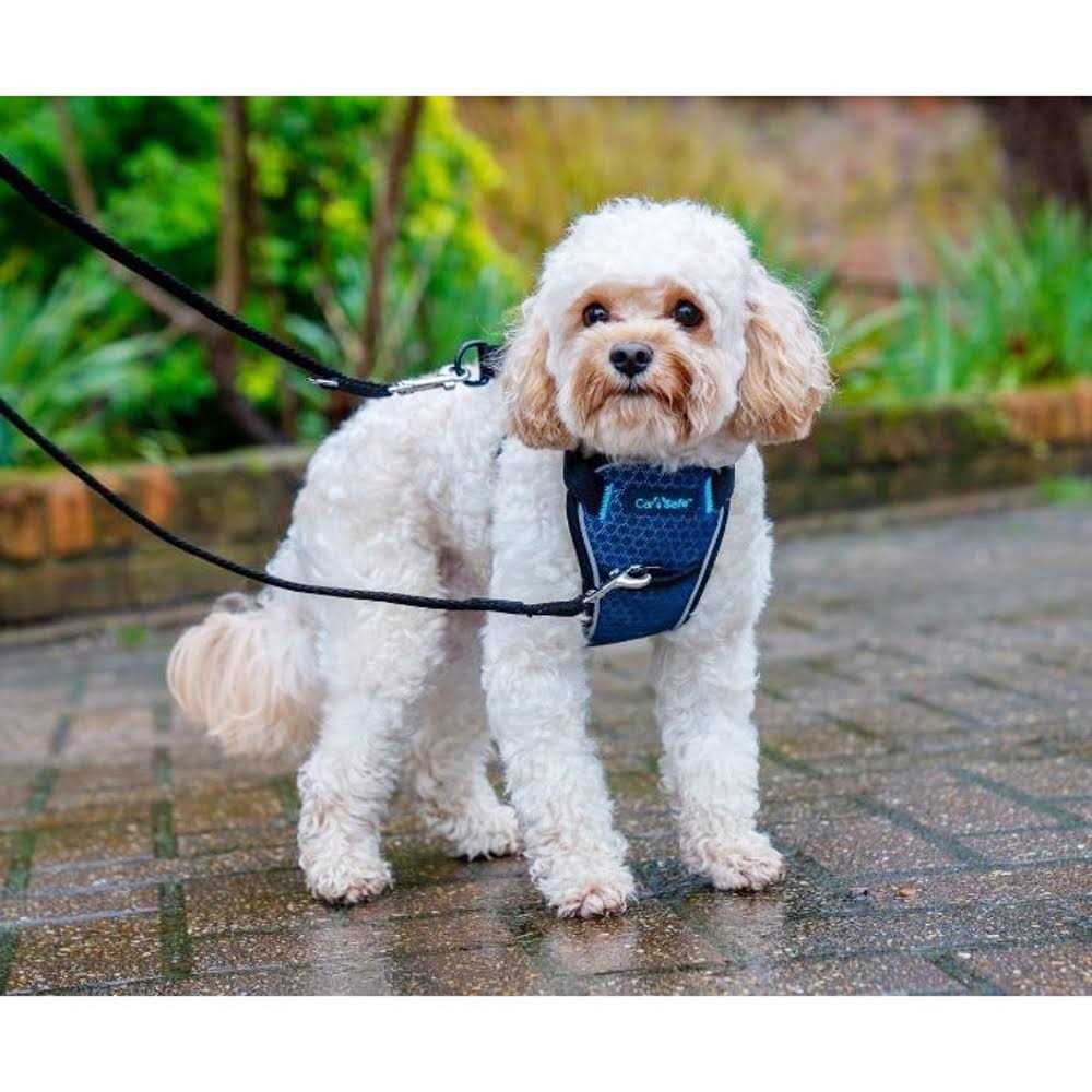 Alternative view of Carsafe Crash Tested Dog Harness