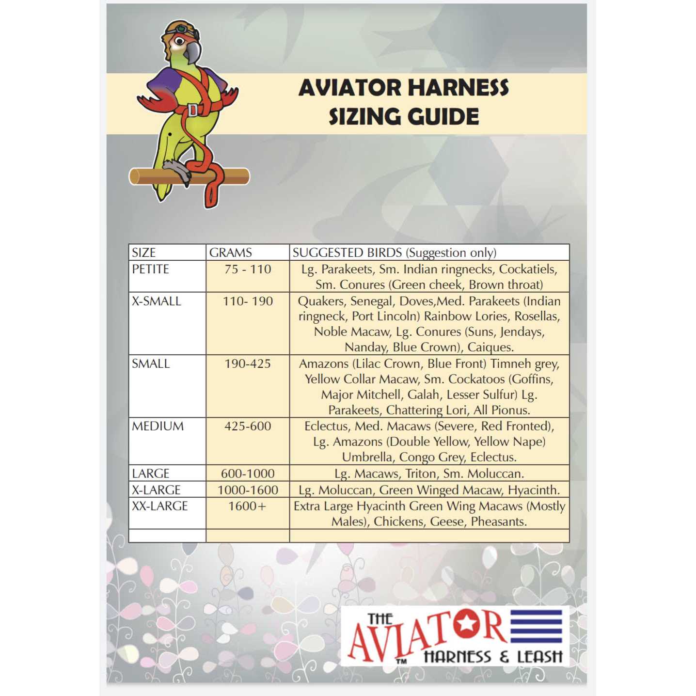 Alternative view of The Aviator Bird Harness and Leash